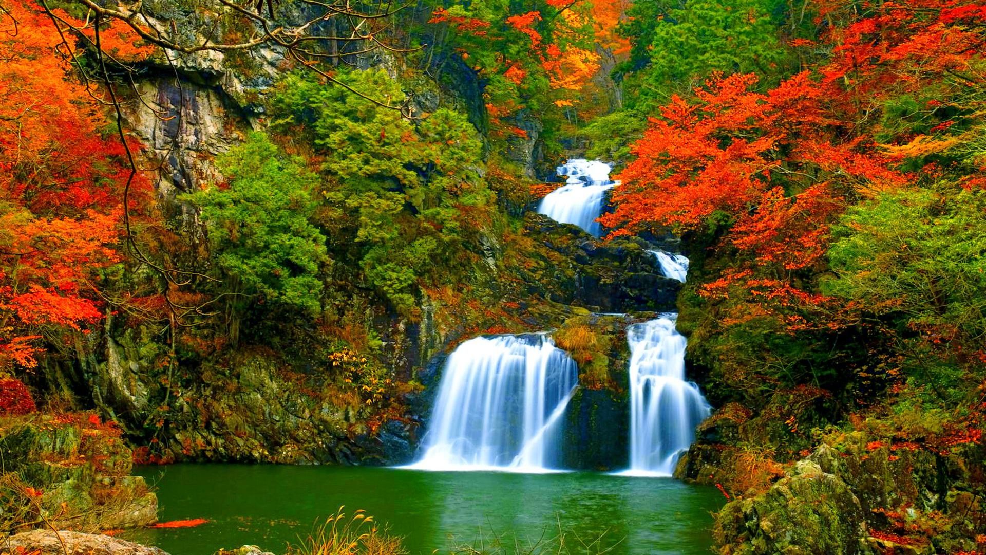 Free download wallpaper Waterfalls, Waterfall, Forest, Fall, Earth on your PC desktop