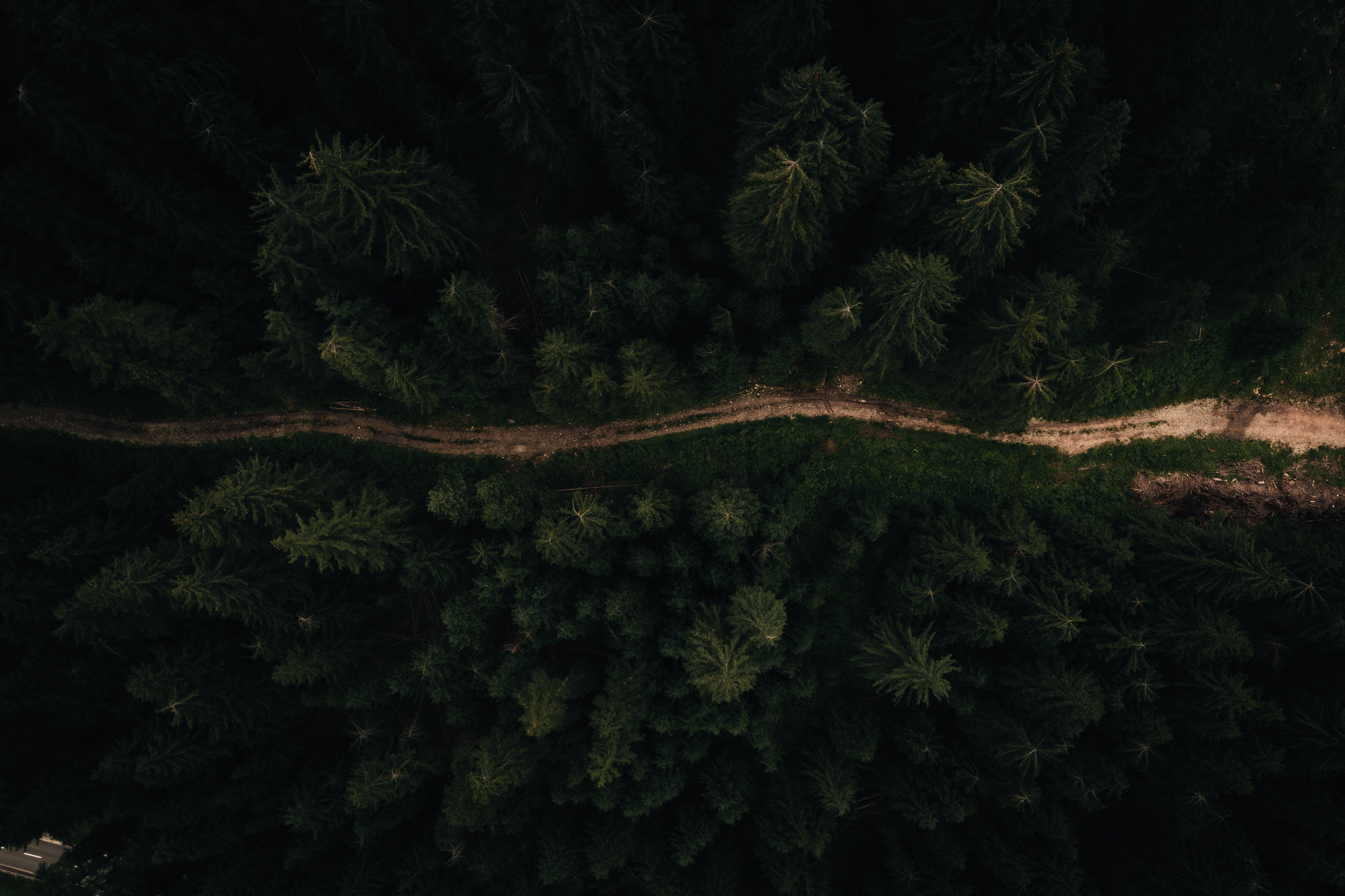 Завантажити шпалери безкоштовно Ліс, Фотографія, Антена картинка на робочий стіл ПК