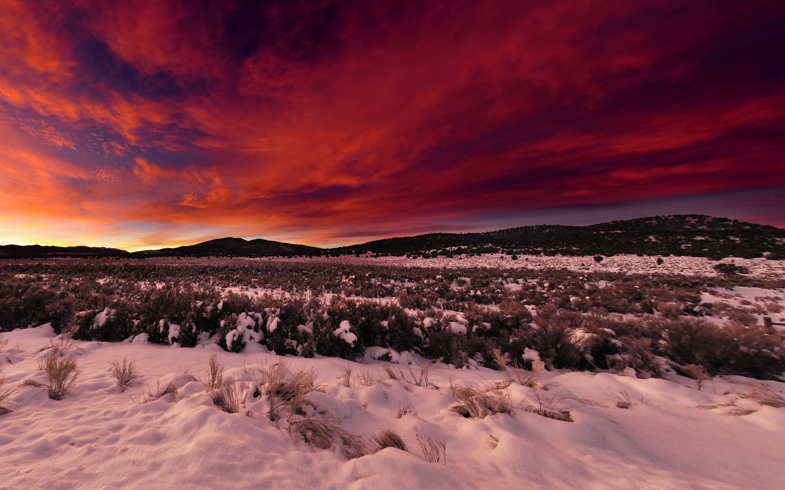 Descarga gratuita de fondo de pantalla para móvil de Invierno, Tierra/naturaleza.