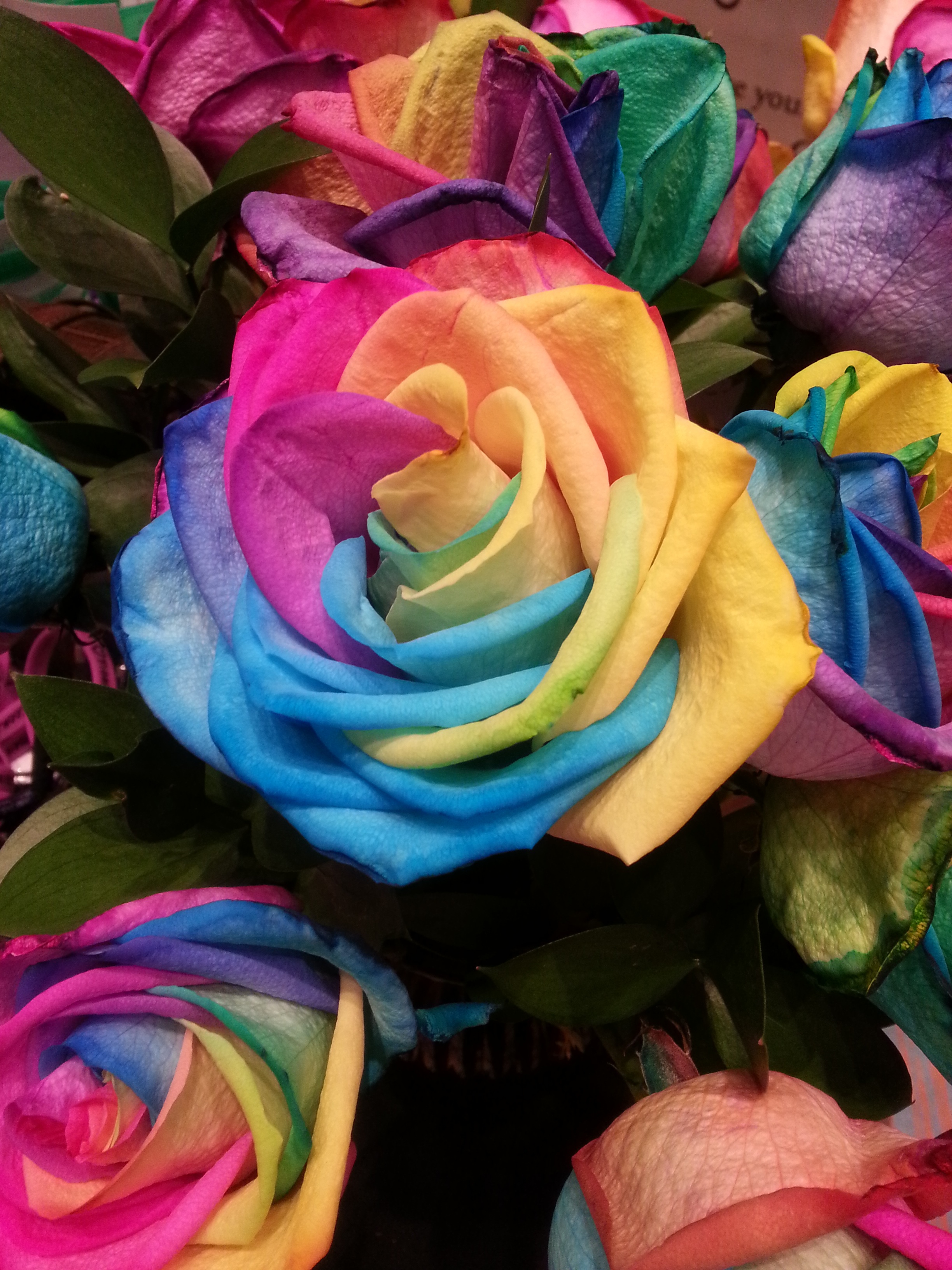 77904壁紙のダウンロード虹, フラワーズ, 色とりどり, モトリー, バラの花, 薔薇, 玉虫色-スクリーンセーバーと写真を無料で