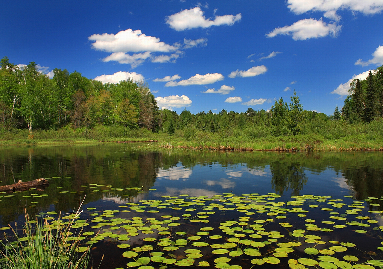 Download mobile wallpaper Earth, Pond for free.