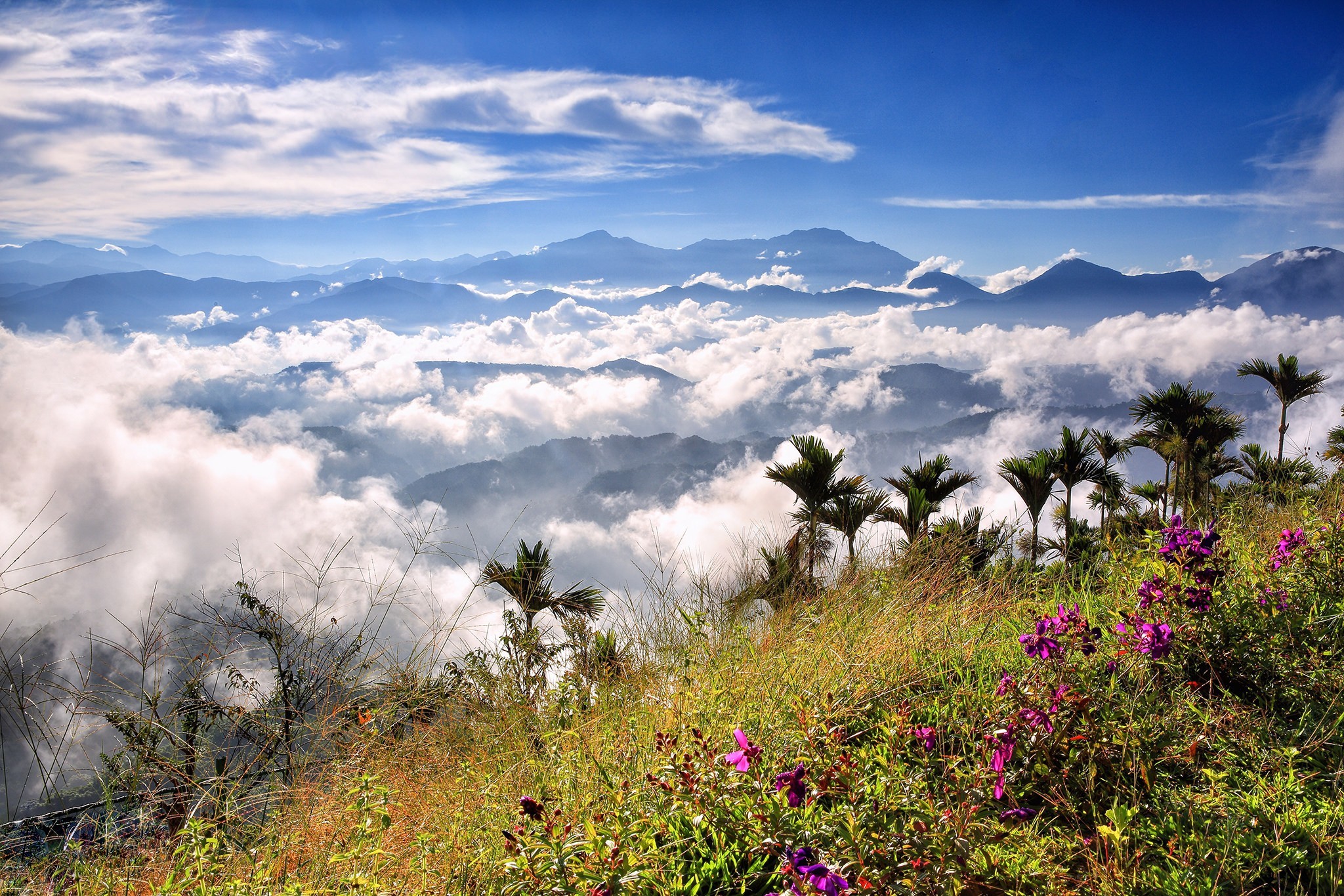 Laden Sie das Landschaft, Natur, Gebirge, Wolke, Lila Blume, Erde/natur-Bild kostenlos auf Ihren PC-Desktop herunter