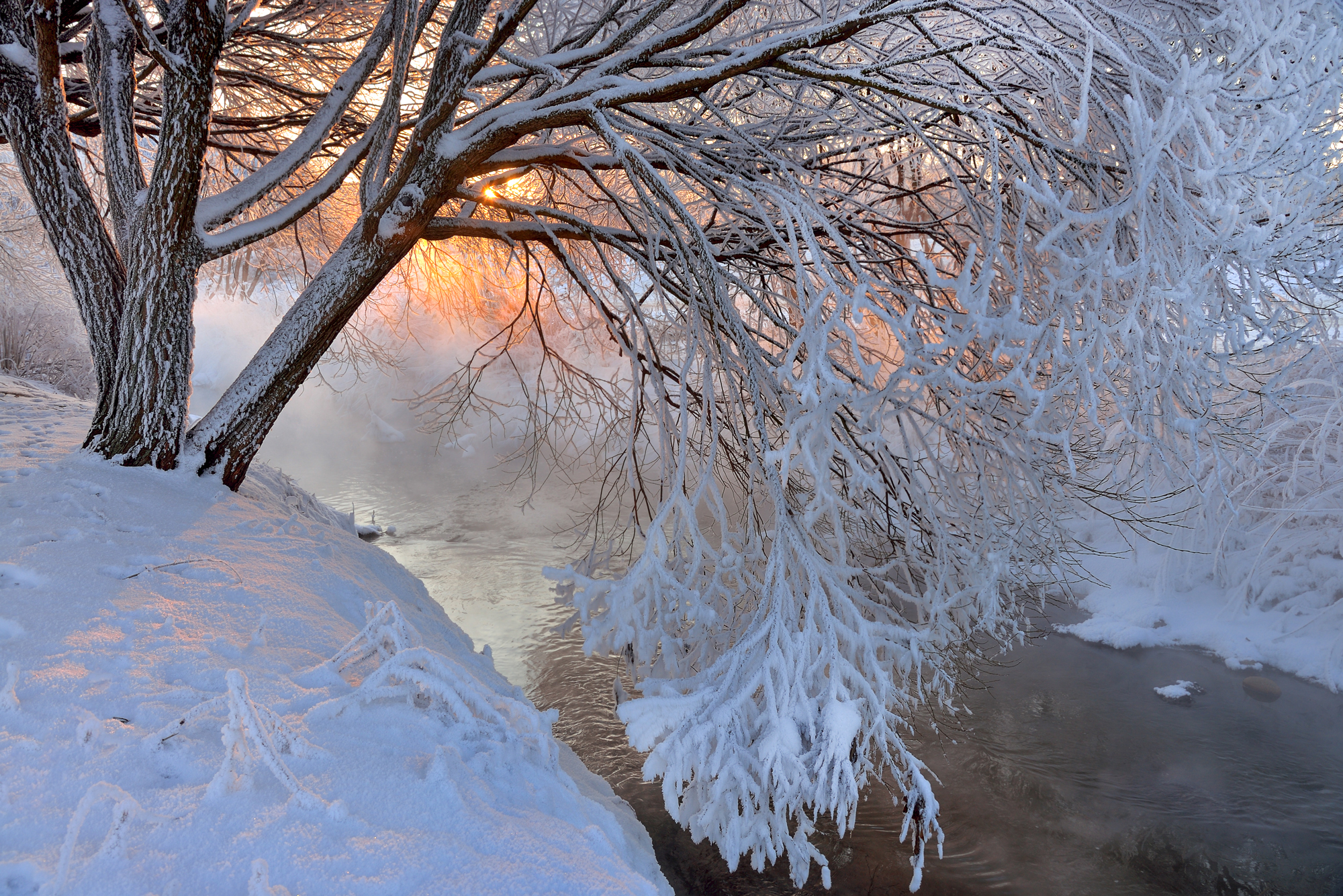 Descarga gratuita de fondo de pantalla para móvil de Invierno, Naturaleza, Hielo, Nieve, Rio, Árbol, Tierra/naturaleza, Frozen: El Reino Del Hielo.