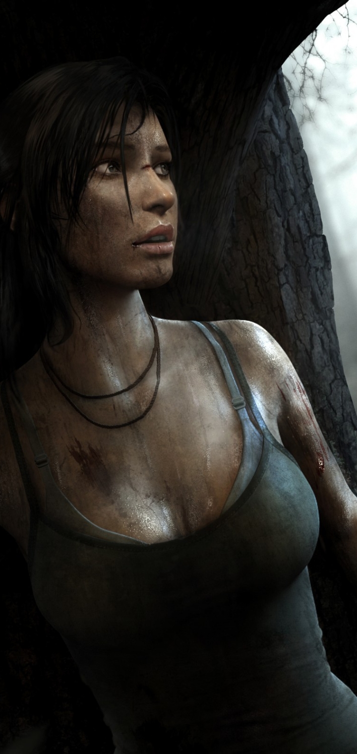 Handy-Wallpaper Tomb Raider, Computerspiele, Lara Croft, Grabräuber (2013) kostenlos herunterladen.
