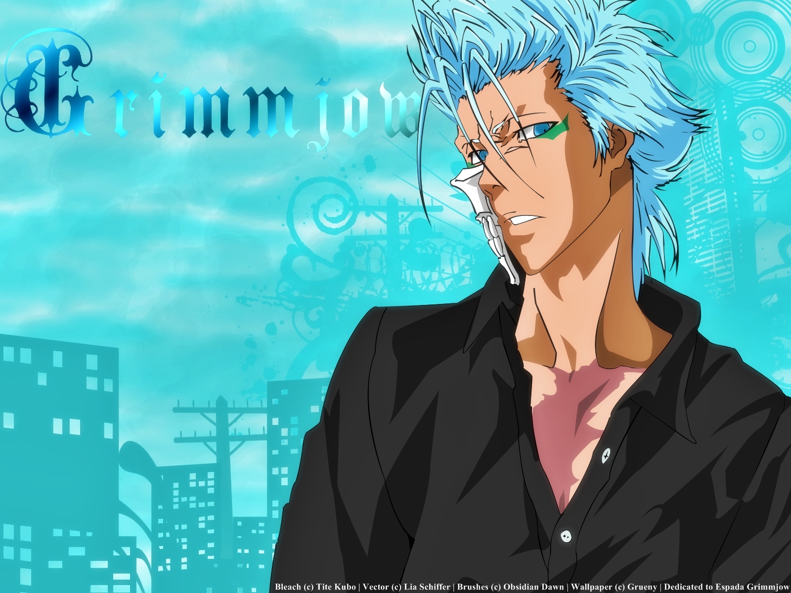 Laden Sie das Bleach, Animes, Grimmjow Jaegerjaquez-Bild kostenlos auf Ihren PC-Desktop herunter