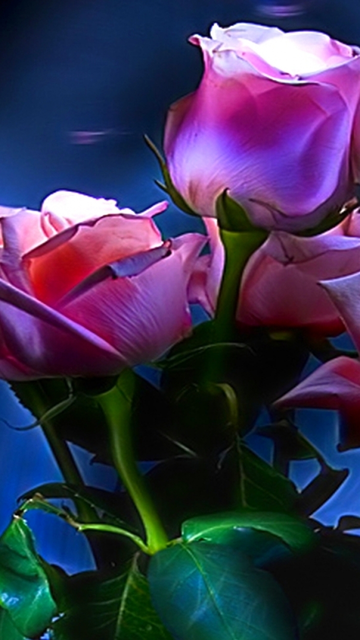 Download mobile wallpaper Flowers, Flower, Rose, Artistic for free.