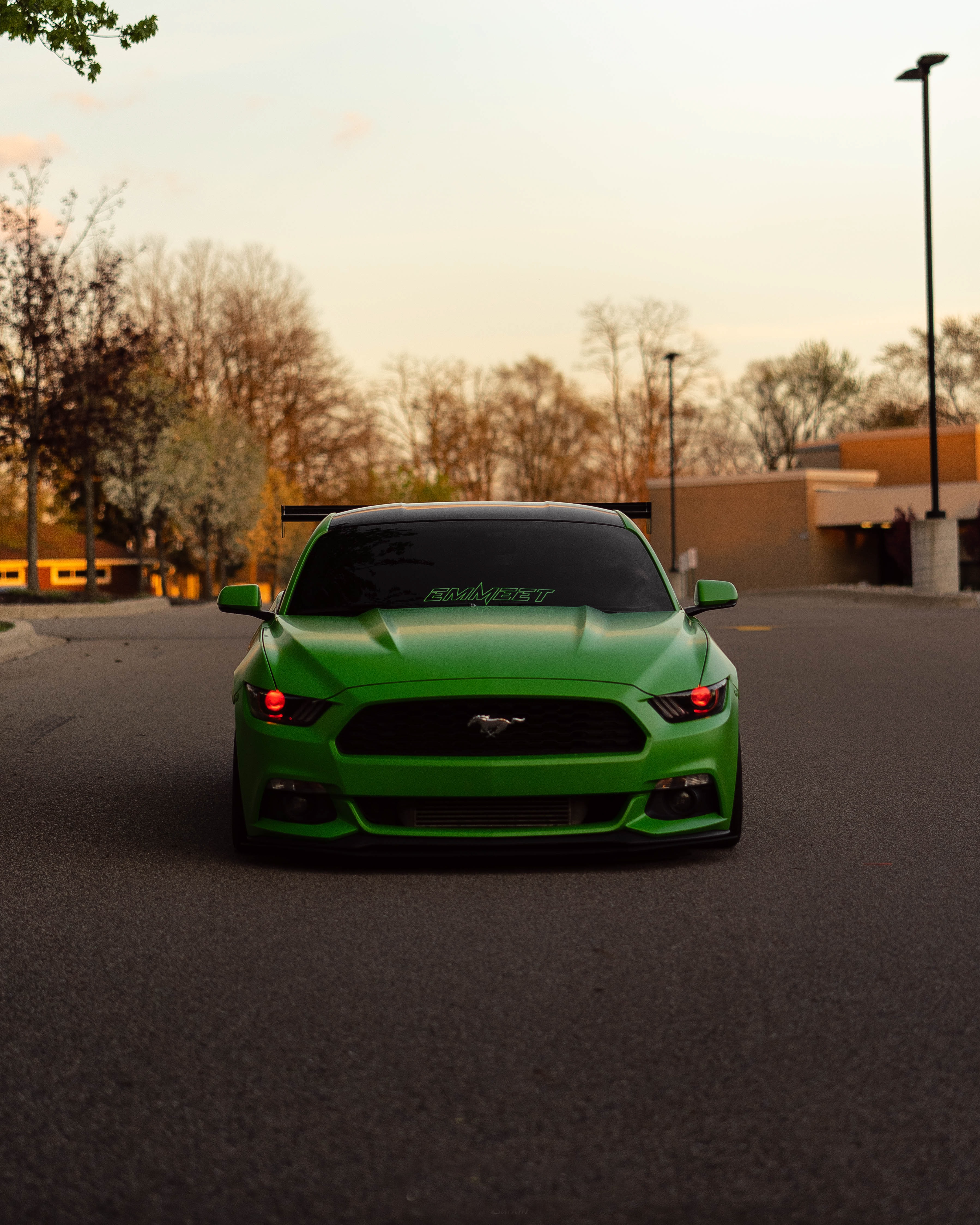 ford mustang, front view, cars, green, car HD wallpaper
