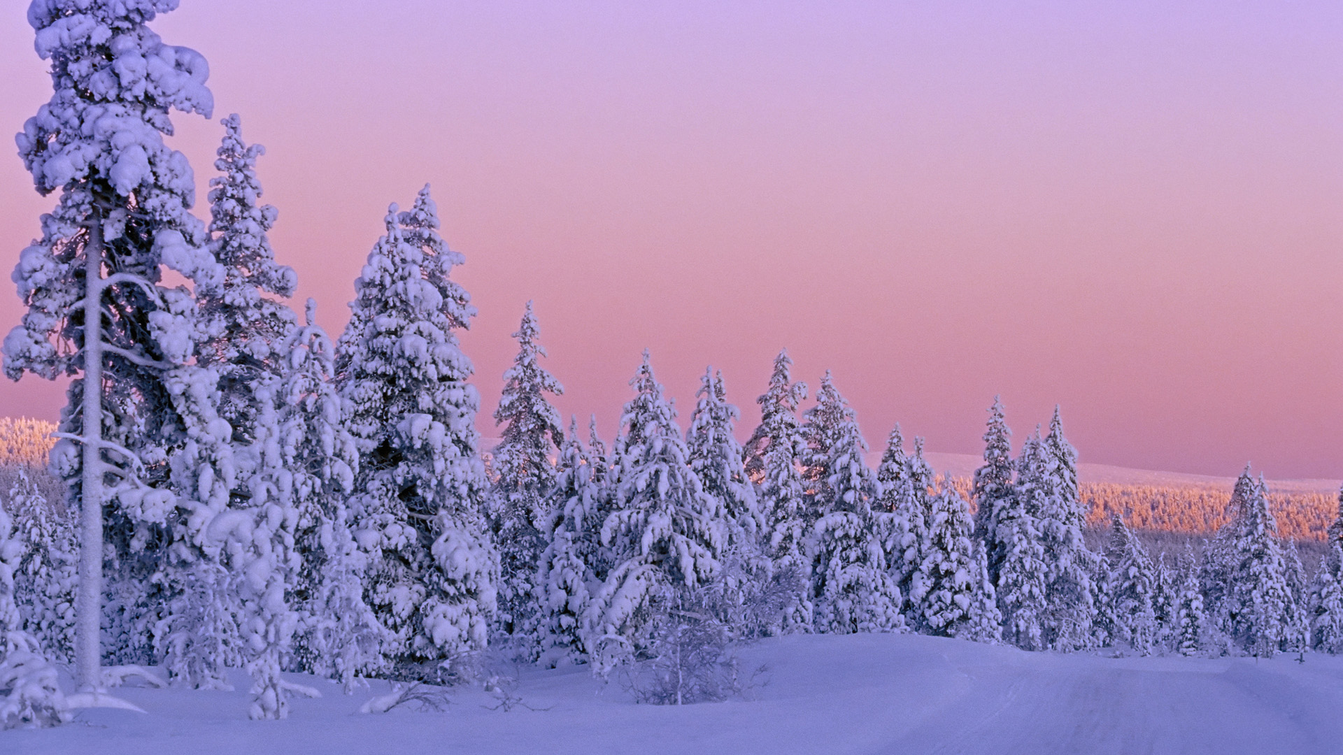 Free download wallpaper Winter, Snow, Tree, Earth on your PC desktop