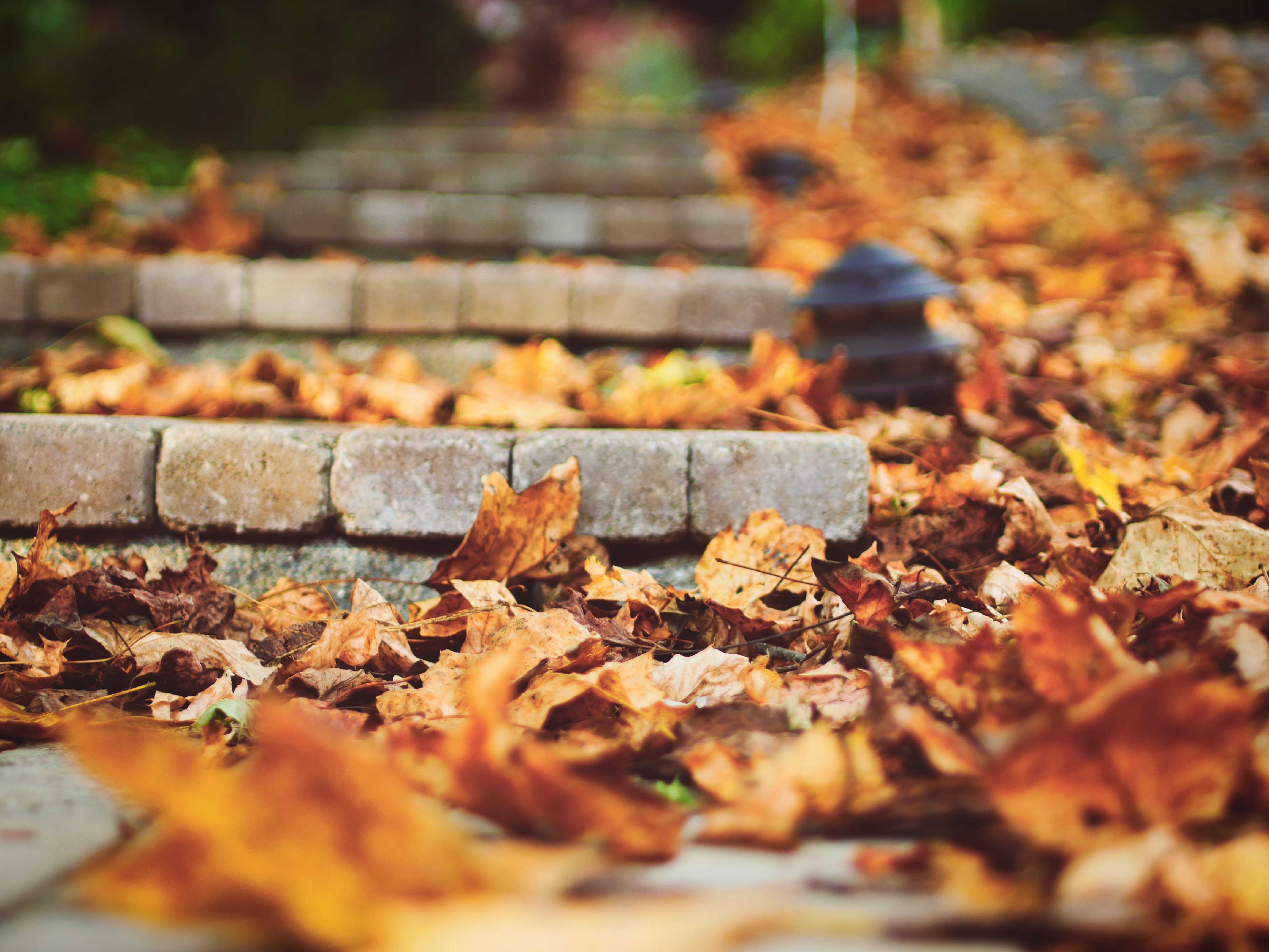 Download mobile wallpaper Leaf, Fall, Stairs, Man Made for free.