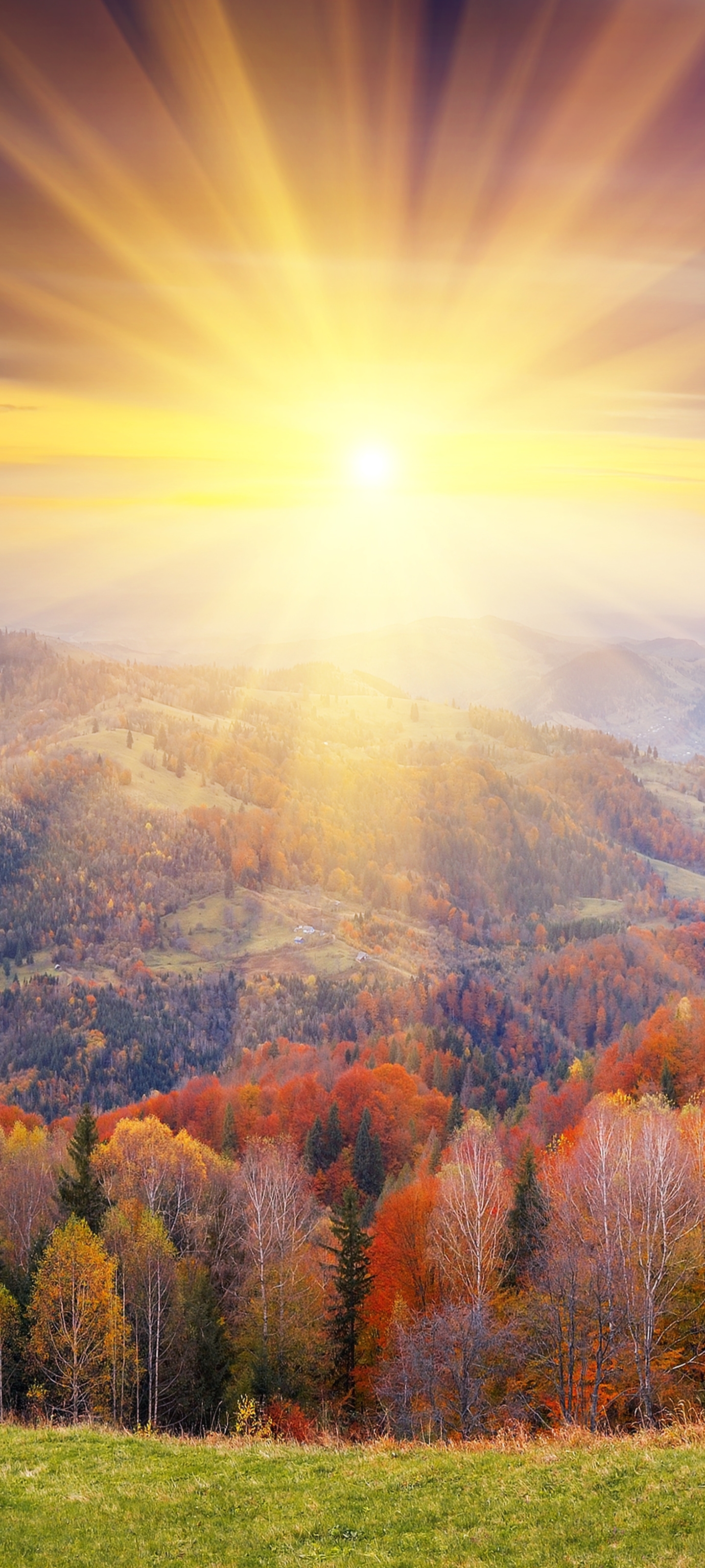 Download mobile wallpaper Nature, Sun, Fall, Earth, Sunbeam, Sunbean for free.