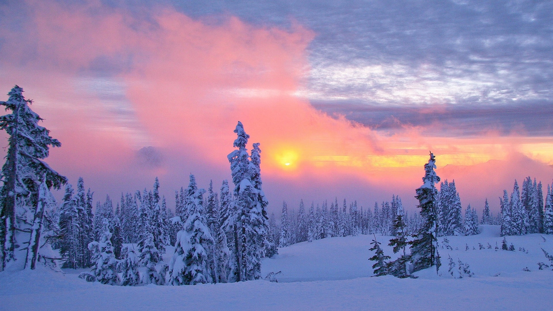 Descarga gratuita de fondo de pantalla para móvil de Invierno, Tierra/naturaleza, Puesta De Sol.