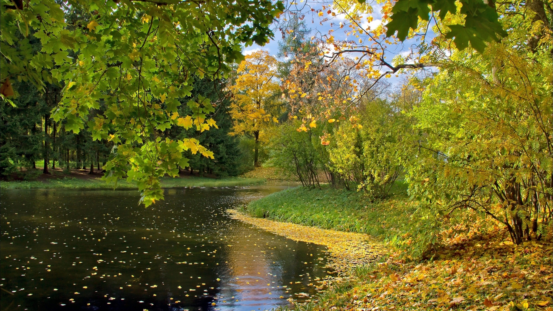 無料モバイル壁紙木, 秋, 公園, 池, 写真撮影をダウンロードします。