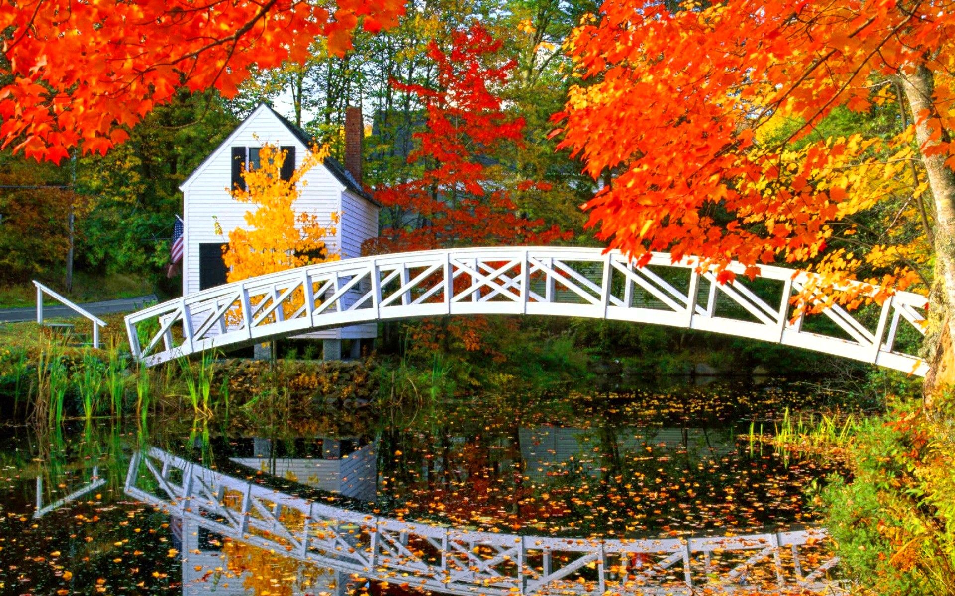 Скачать картинку Мосты, Осень, Отражение, Дом, Мост, Пруд, Сделано Человеком в телефон бесплатно.