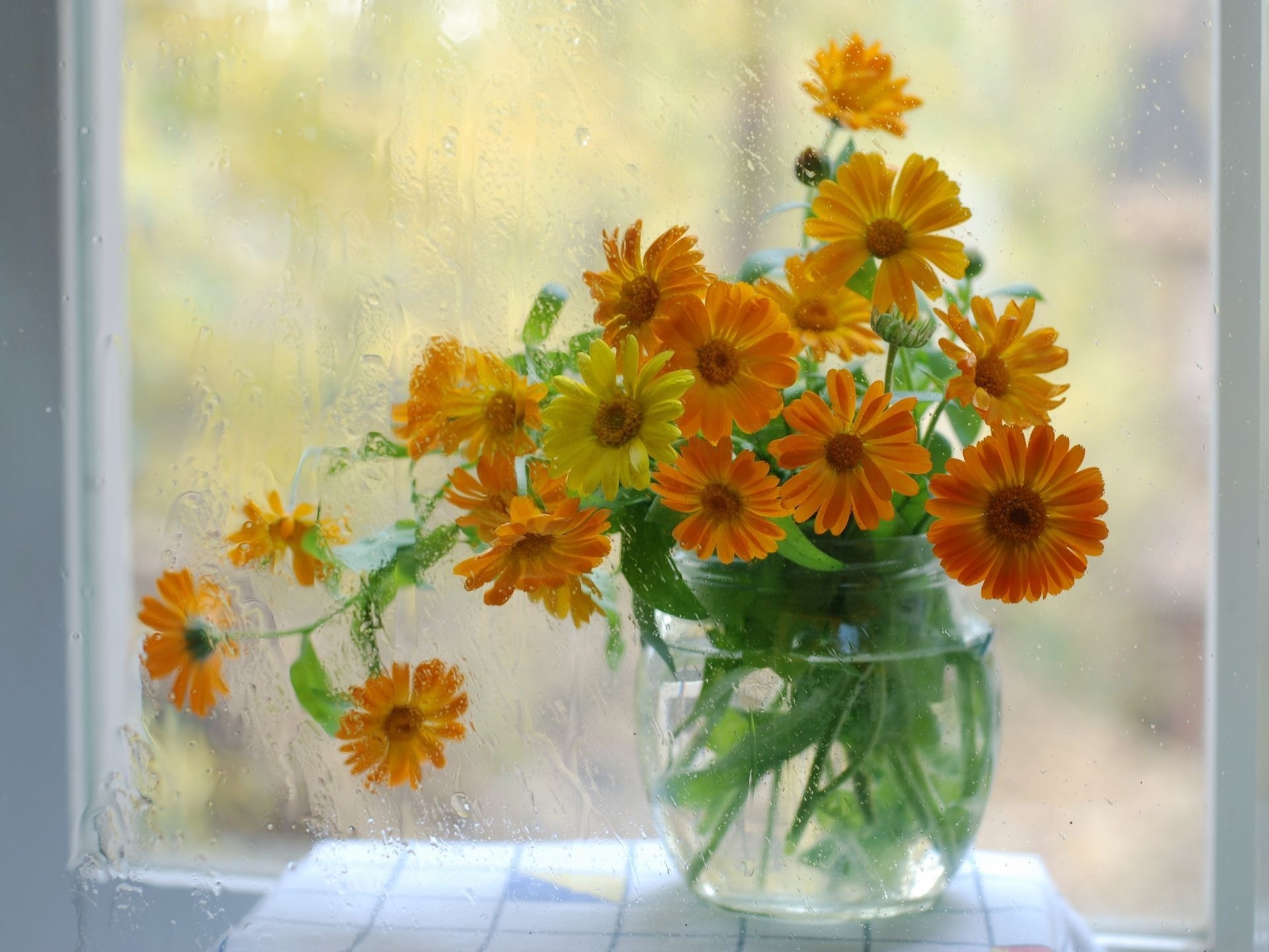 Завантажити шпалери безкоштовно Квітка, Вікно, Ваза, Жовта Квітка, Створено Людиною картинка на робочий стіл ПК