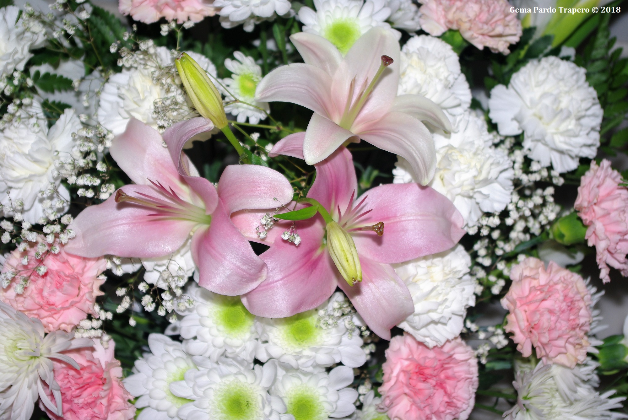 Free download wallpaper Flowers, Flower, Bouquet, Earth, Carnation on your PC desktop
