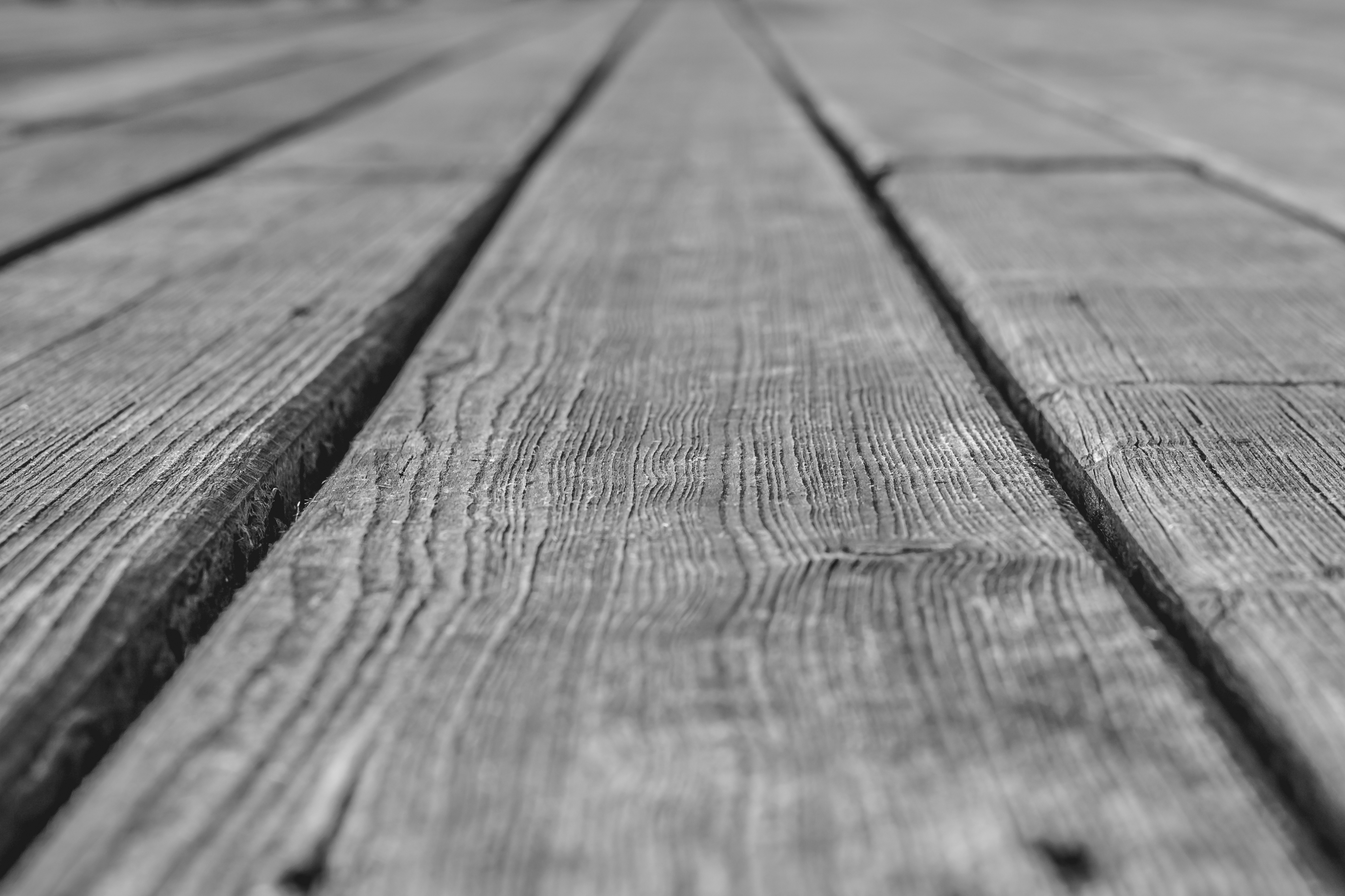wood, tree, texture, textures, grey, bw, chb, planks, board