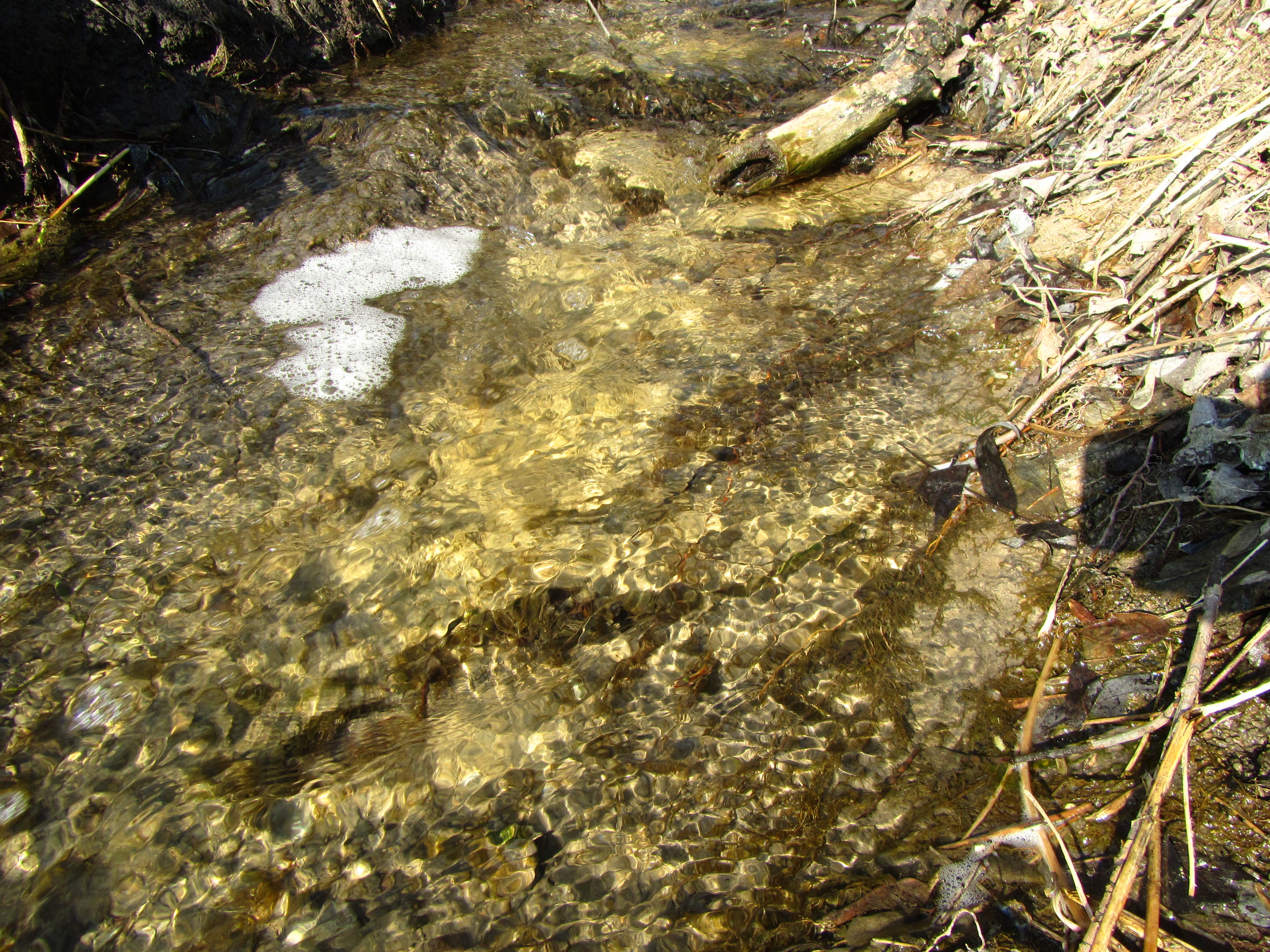 Скачати мобільні шпалери Вода, Земля безкоштовно.