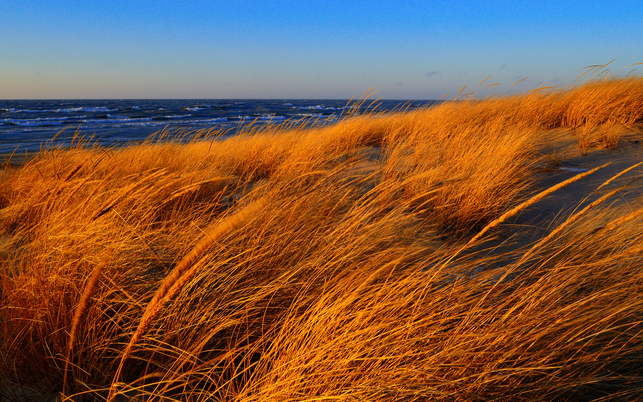Laden Sie das Natur, Strand, Sand, Horizont, Ozean, Gras, Erde/natur-Bild kostenlos auf Ihren PC-Desktop herunter