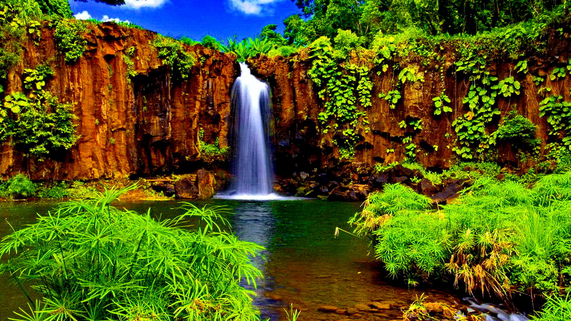 Скачать картинку Зеленый, Водопад, Водопады, Тропический, Природа, Земля/природа в телефон бесплатно.