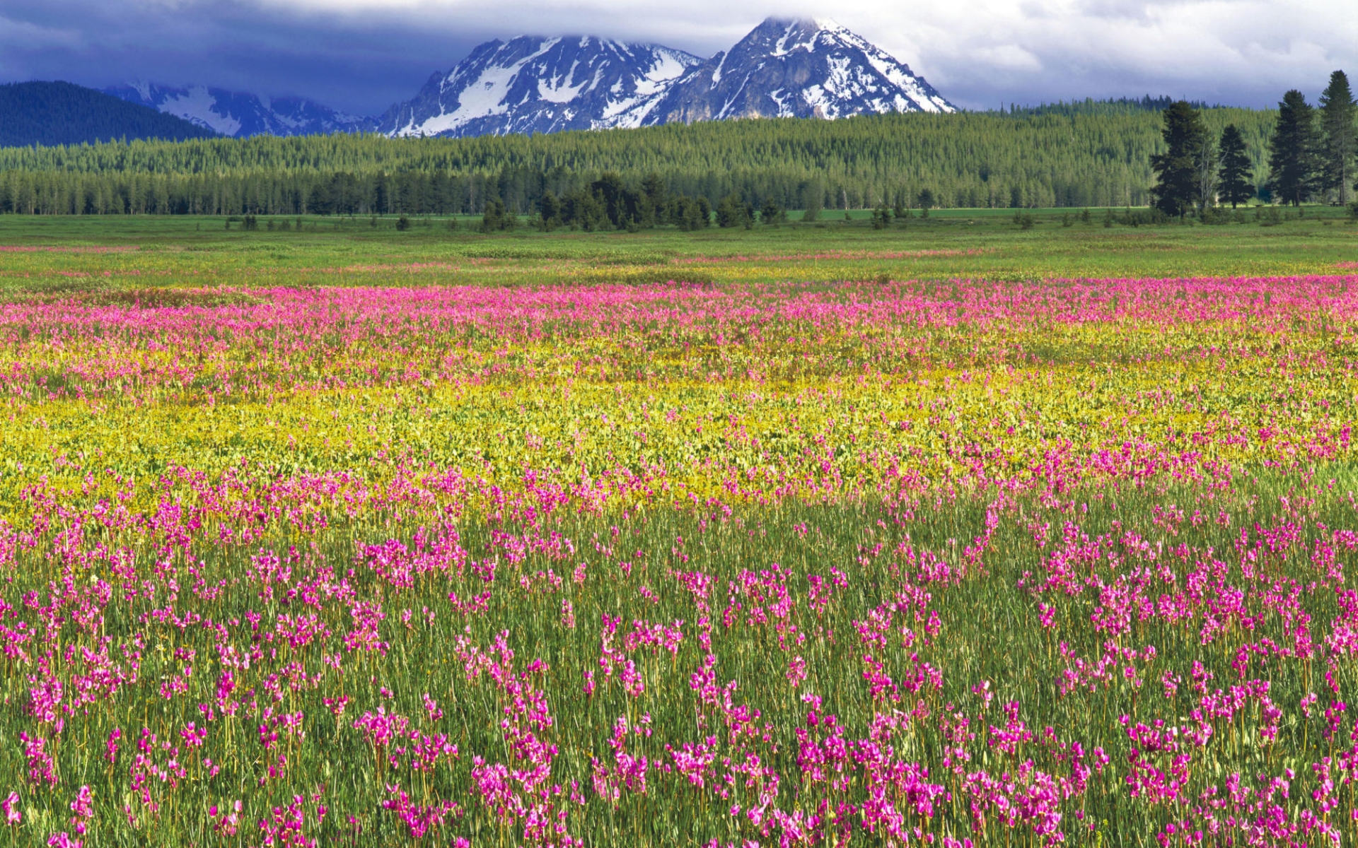 Free download wallpaper Landscape, Mountains, Fields on your PC desktop