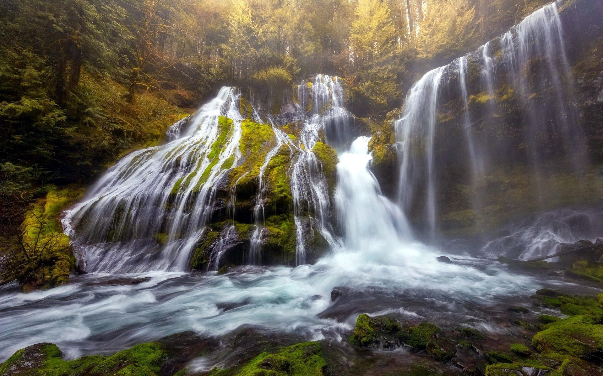Laden Sie das Wasserfall, Wald, Nebel, Erde/natur-Bild kostenlos auf Ihren PC-Desktop herunter