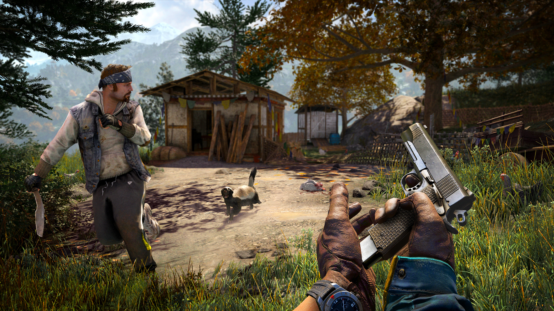 Download mobile wallpaper Far Cry 4, Far Cry, Video Game for free.