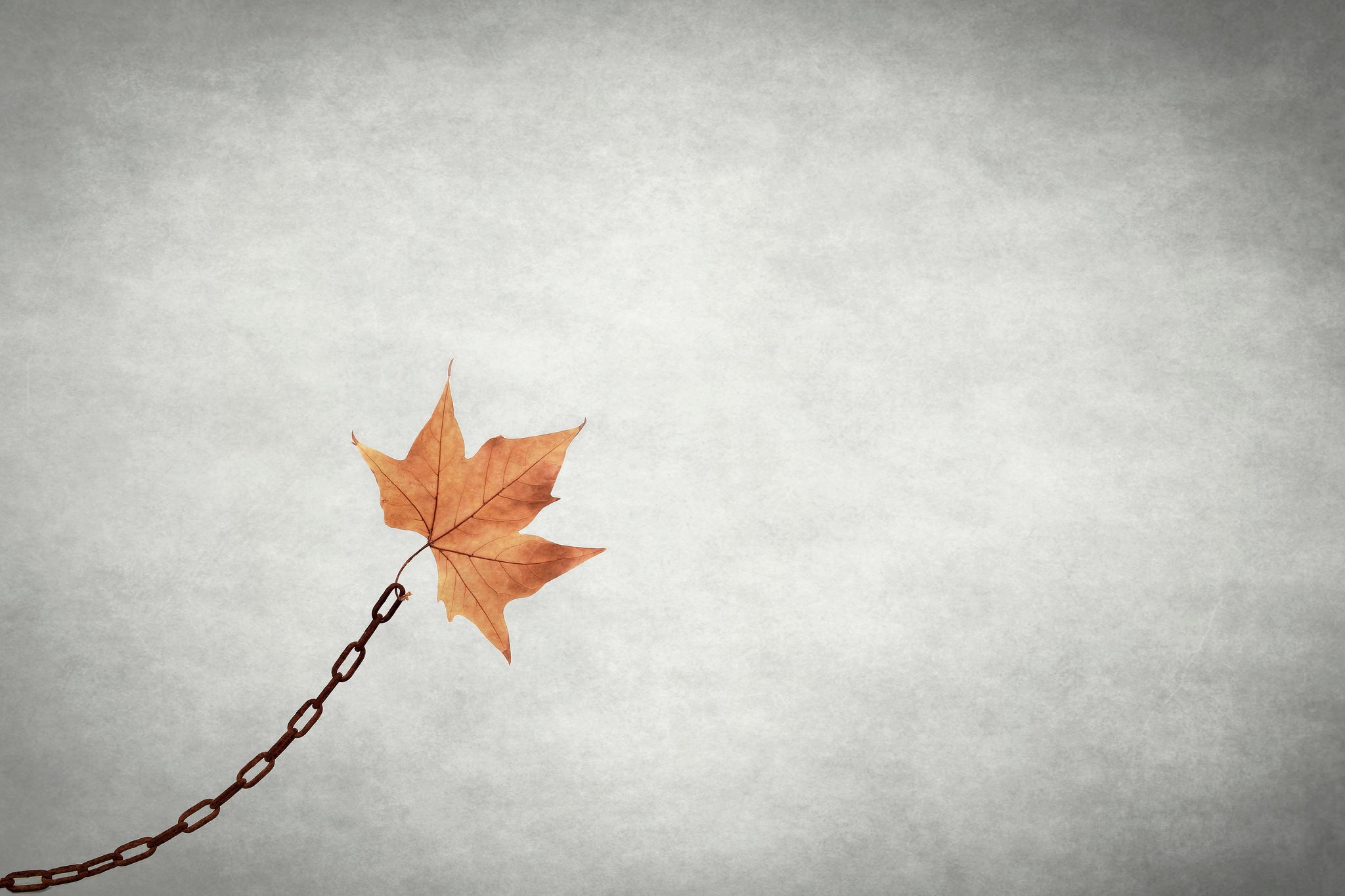 Download mobile wallpaper Leaf, Artistic, Chain, Minimalist for free.