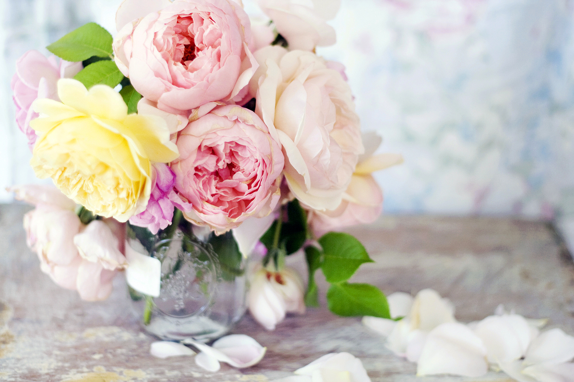 Free download wallpaper Flower, Earth, Vase, Peony, Man Made, Pink Flower on your PC desktop