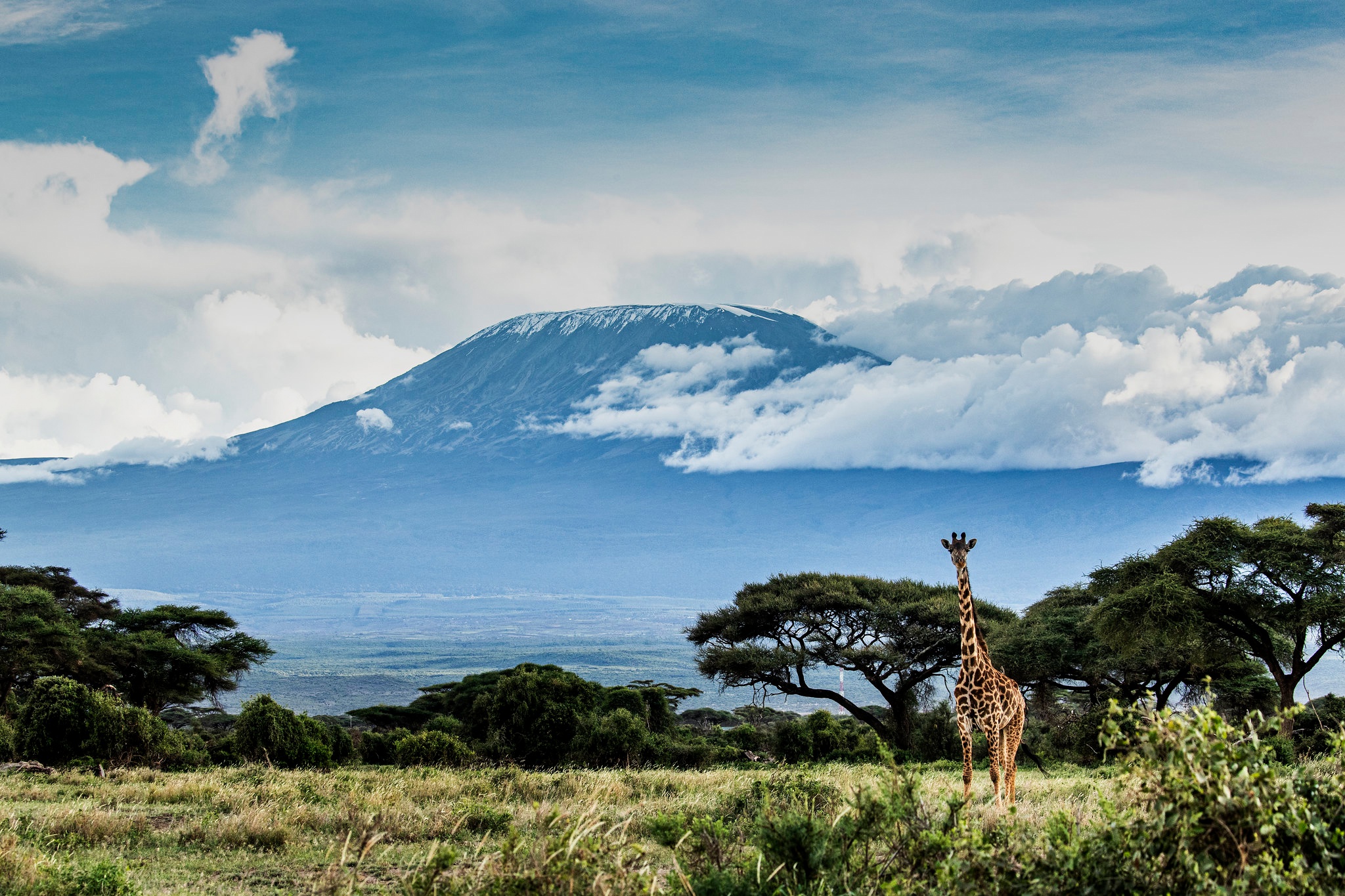 PCデスクトップに動物, キリン, 火山, アフリカ画像を無料でダウンロード