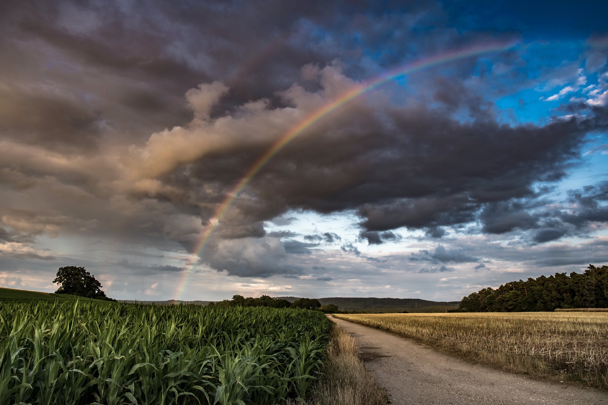 Free download wallpaper Nature, Rainbow, Earth, Field, Cloud on your PC desktop