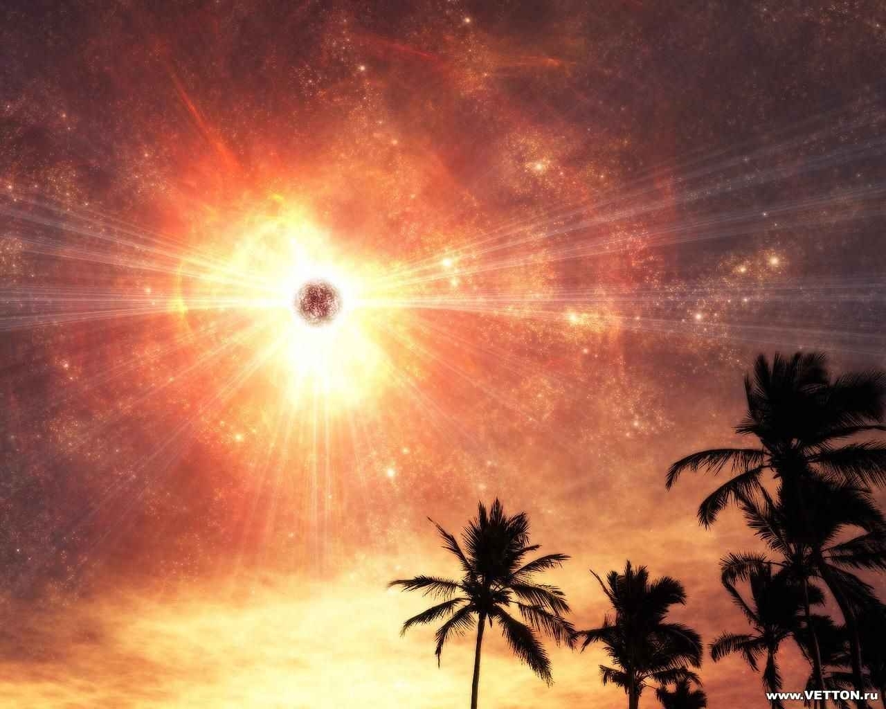 Download mobile wallpaper Sun, Sky, Landscape, Palms for free.