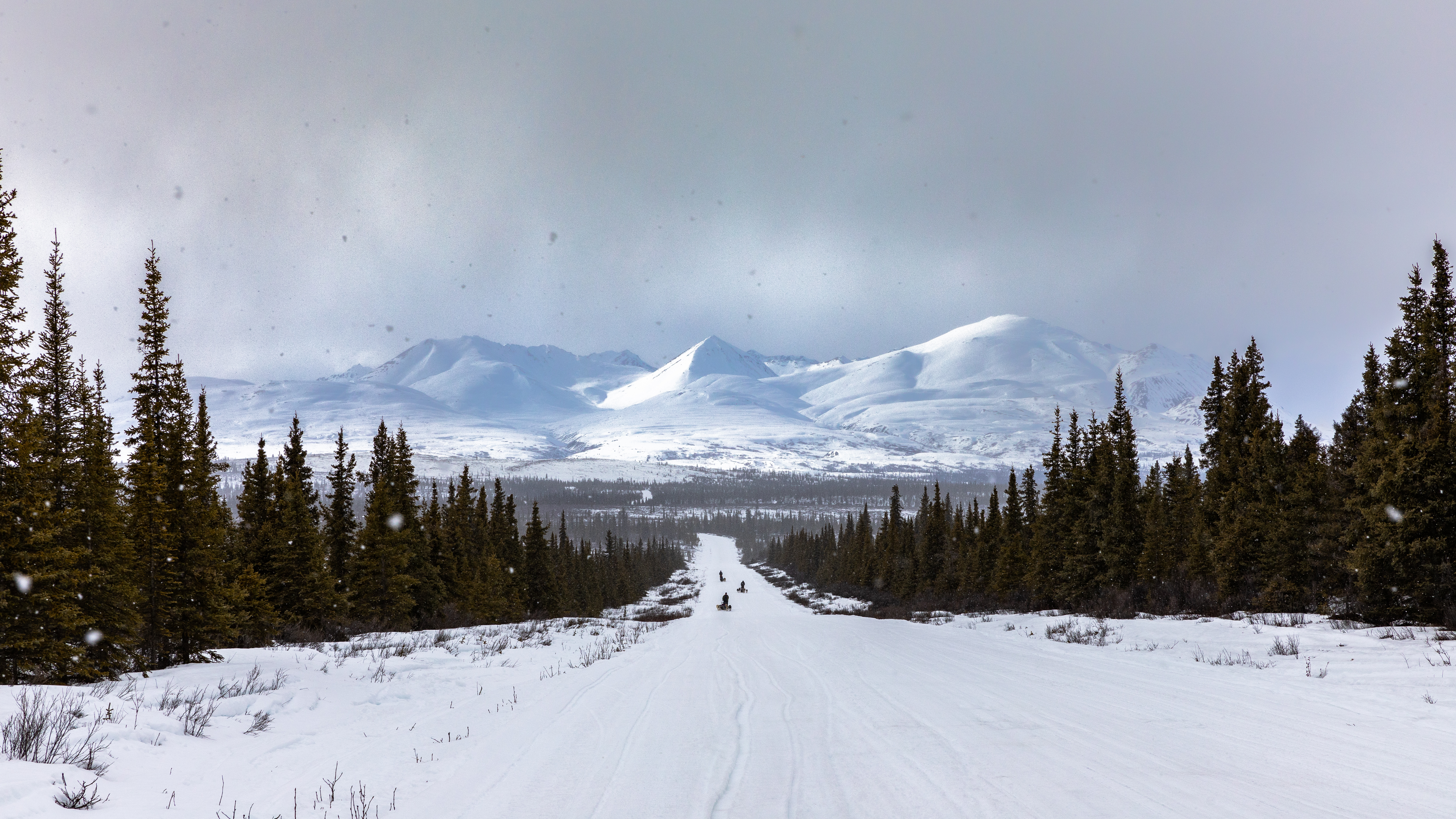 Laden Sie das Straße, Bäume, Natur, Mountains, Schnee, Winter, Landschaft-Bild kostenlos auf Ihren PC-Desktop herunter