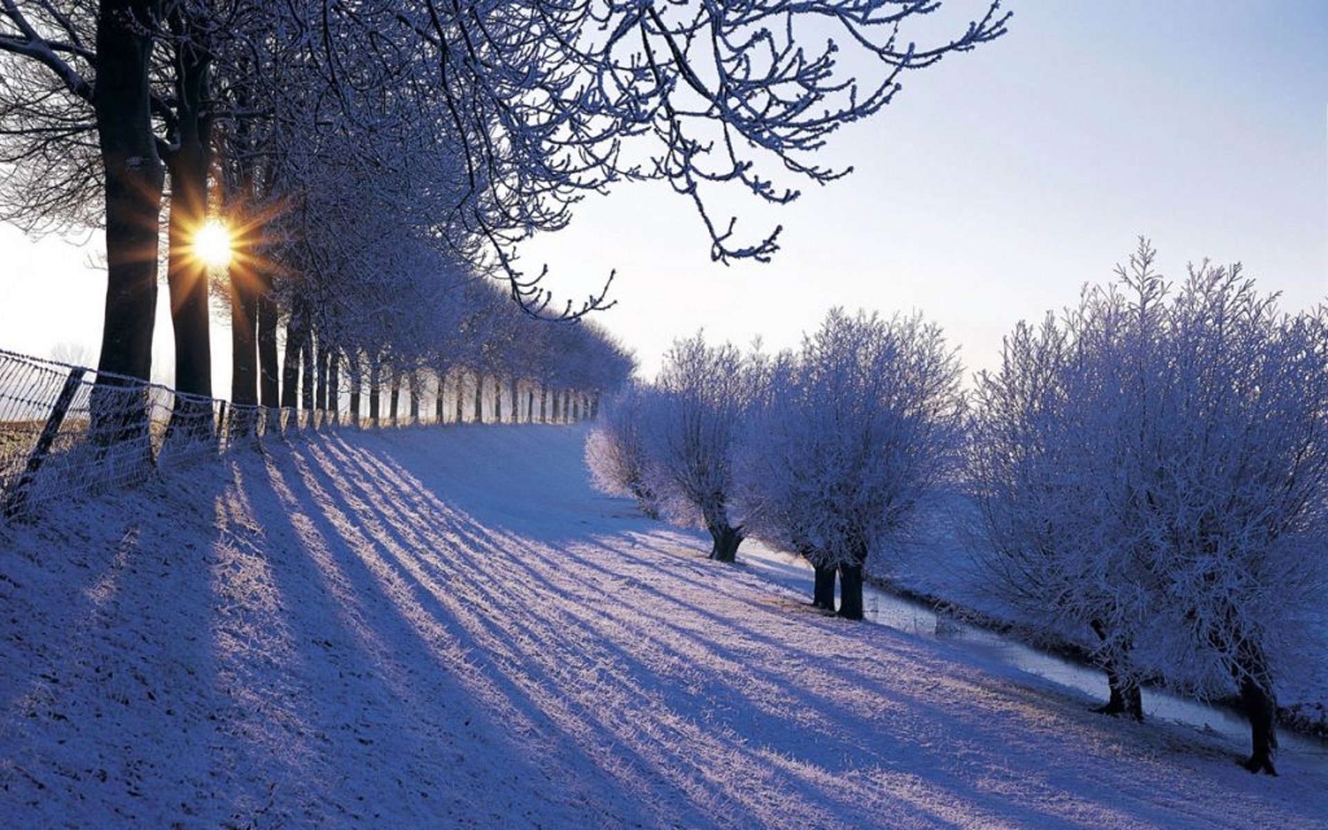 Handy-Wallpaper Bäume, Sun, Schnee, Landschaft, Winter kostenlos herunterladen.