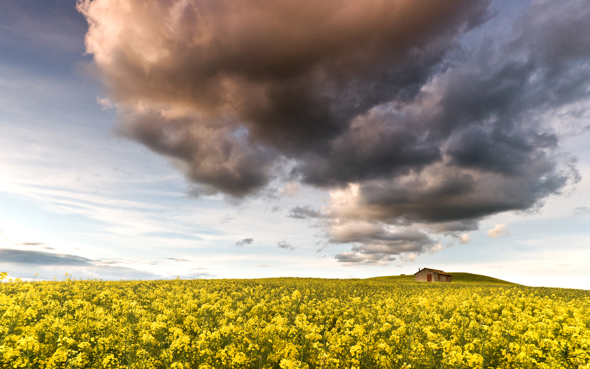 Download mobile wallpaper Landscape, Clouds, Fields for free.