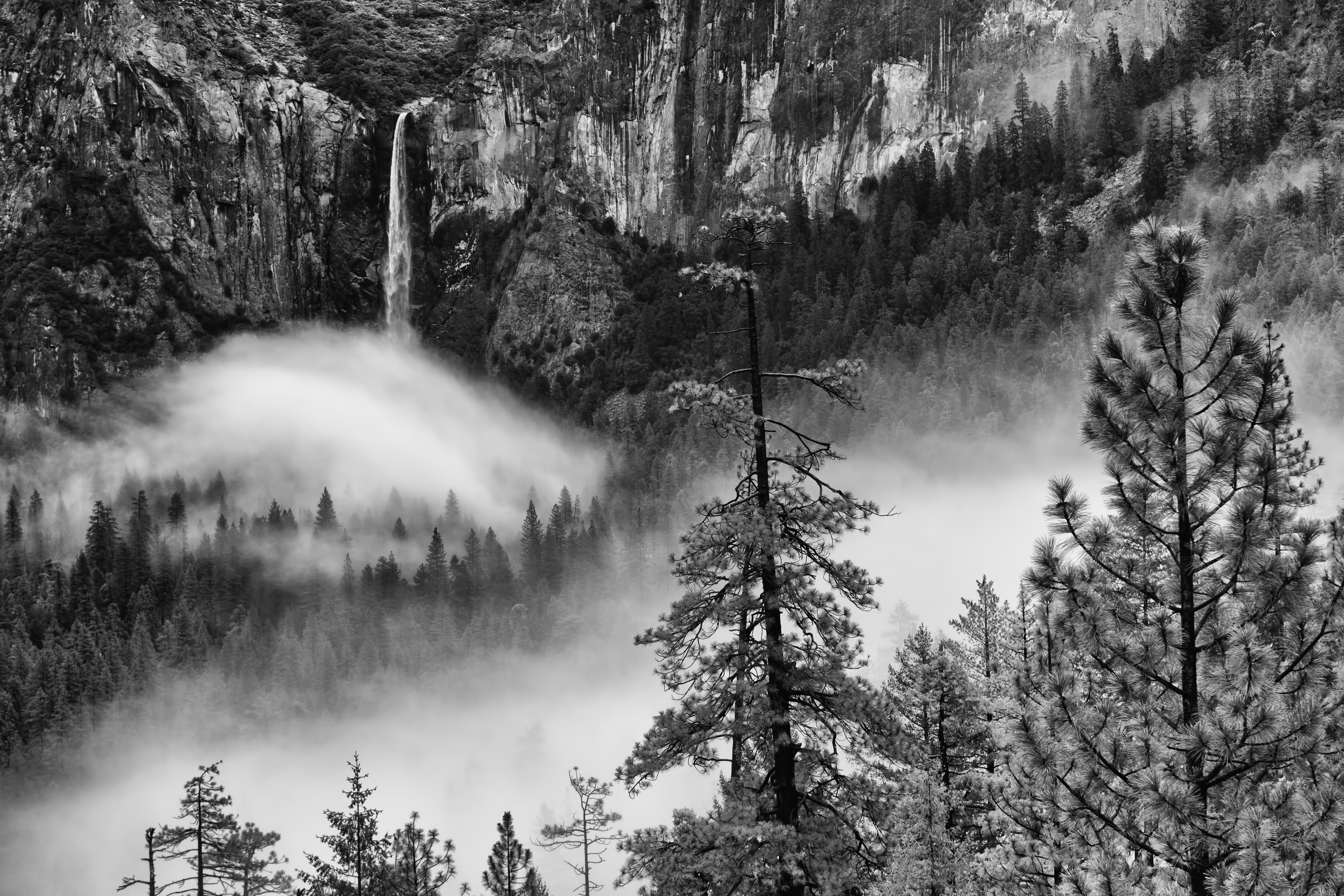 Скачать картинку Природа, Водопады, Водопад, Лес, Туман, Чёрно Белое, Йосемитский Национальный Парк, Земля/природа в телефон бесплатно.