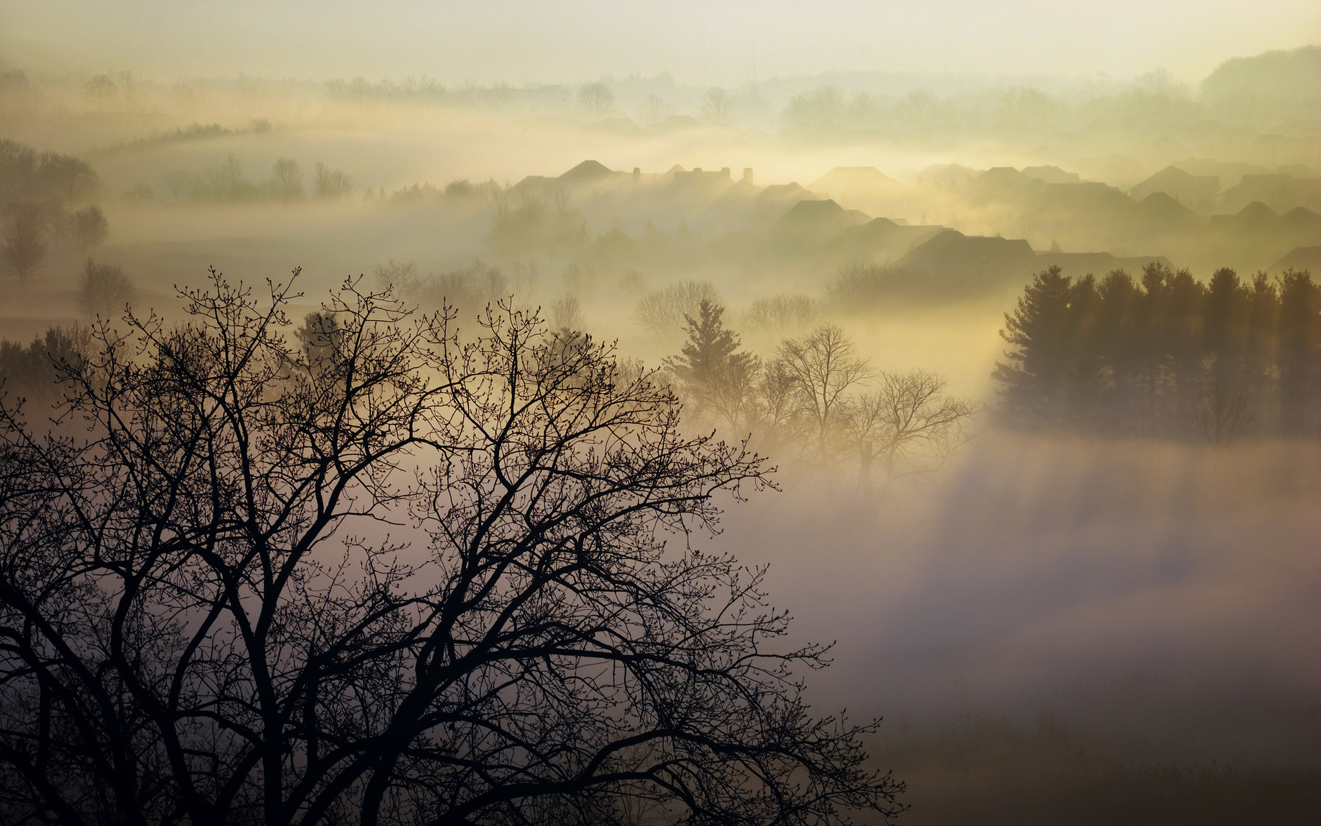 Handy-Wallpaper Nebel, Erde/natur kostenlos herunterladen.