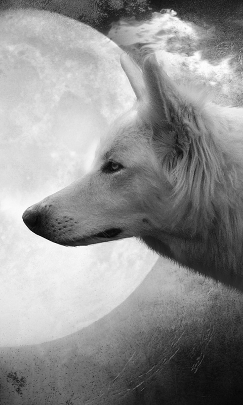 Download mobile wallpaper Moon, Wolf, Animal, Wolves for free.