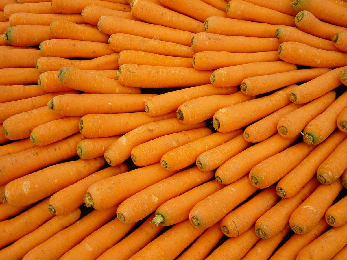 Завантажити шпалери Морква на телефон безкоштовно
