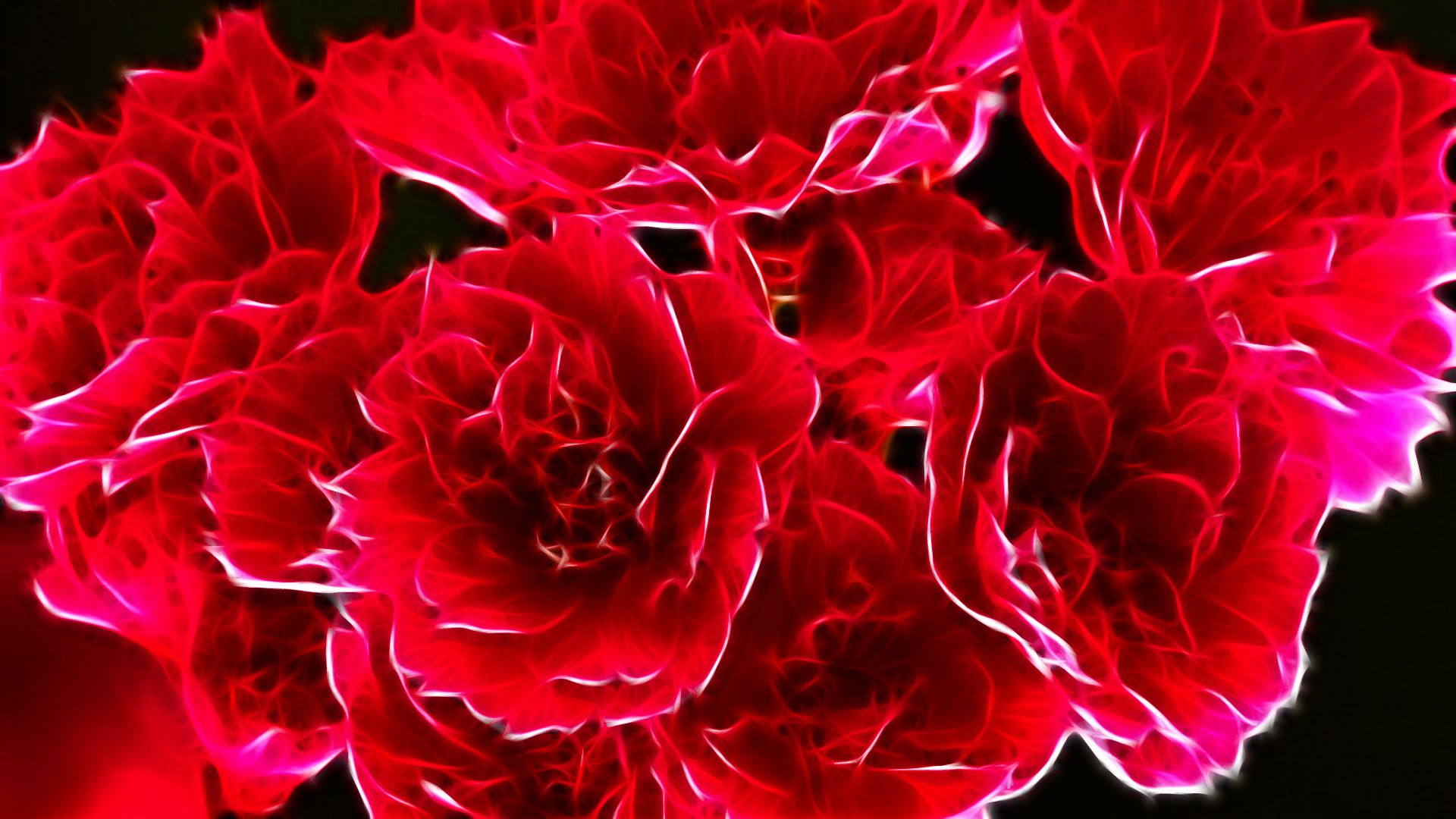 Descarga gratuita de fondo de pantalla para móvil de Rosa, Flor, Abstracto, Fractales.