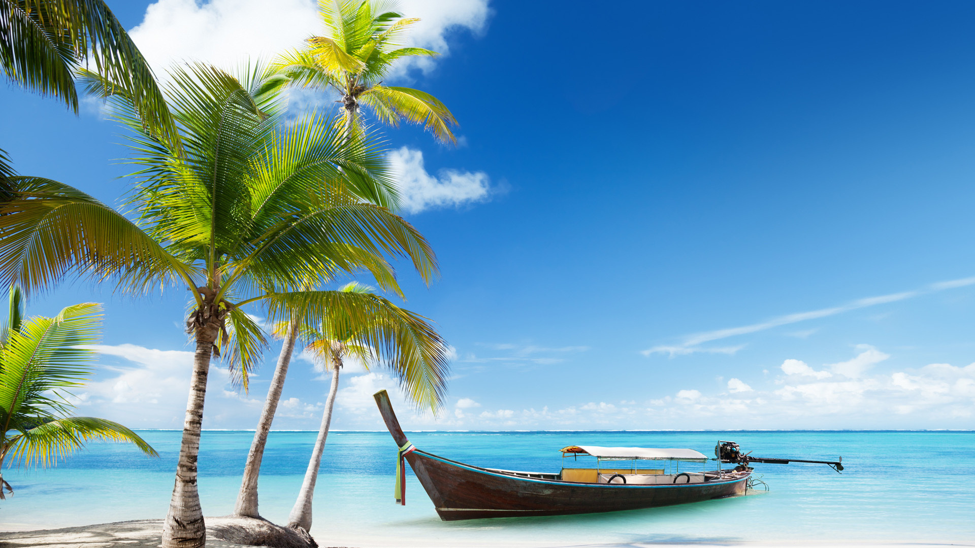 beach, boats, landscape, palms, blue