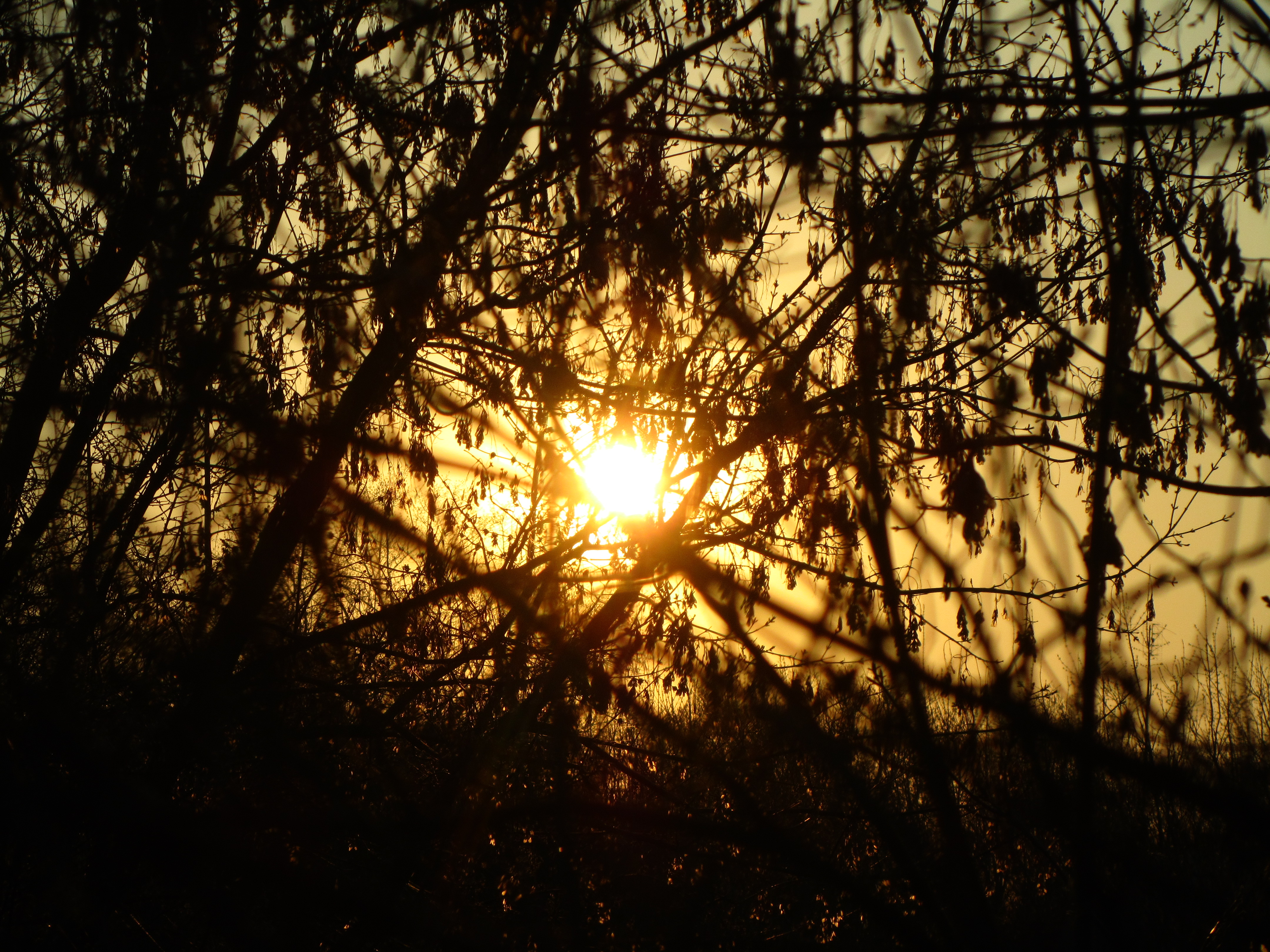 Baixe gratuitamente a imagem Terra/natureza, Raio Solar na área de trabalho do seu PC