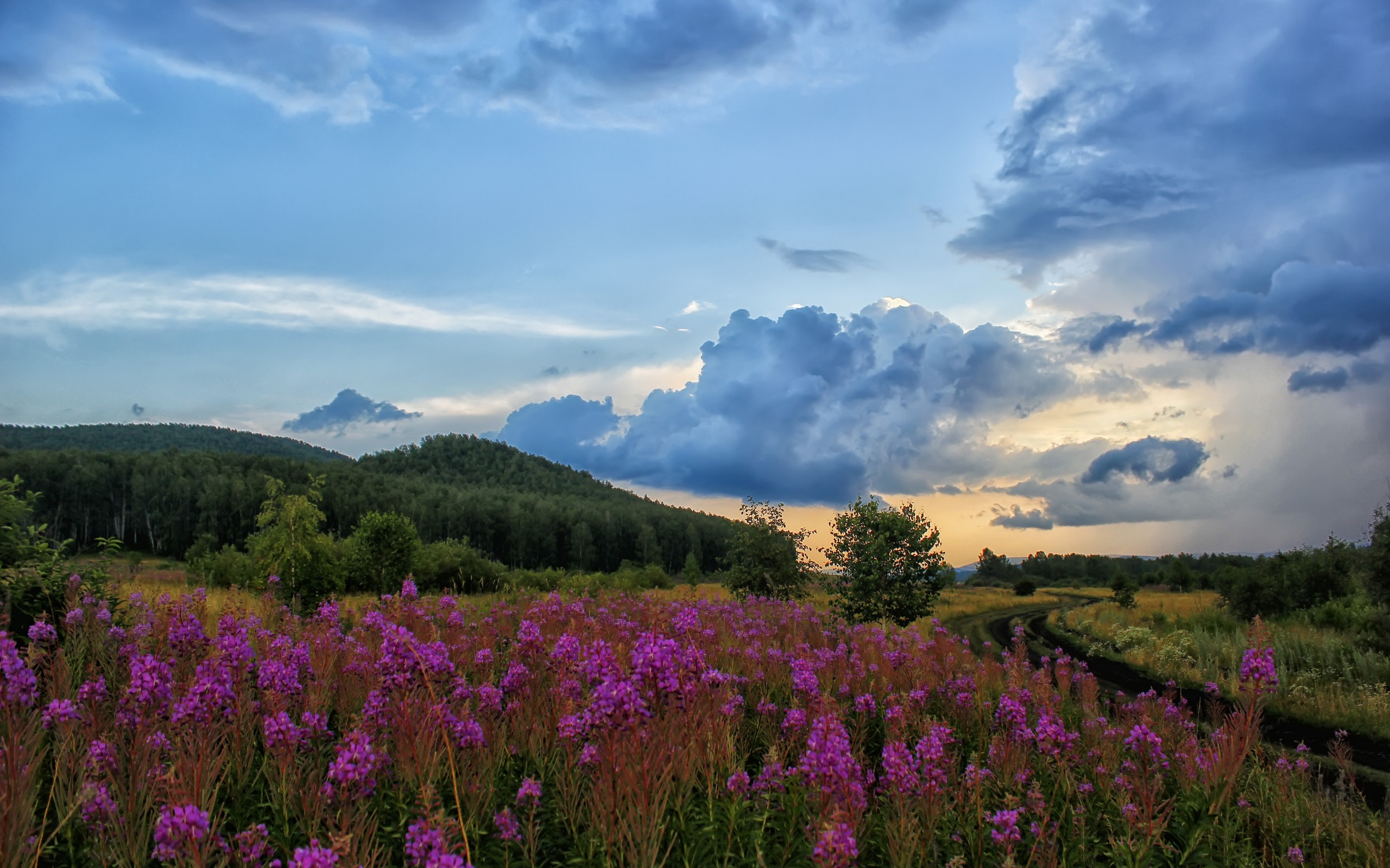 Free download wallpaper Landscape, Earth on your PC desktop