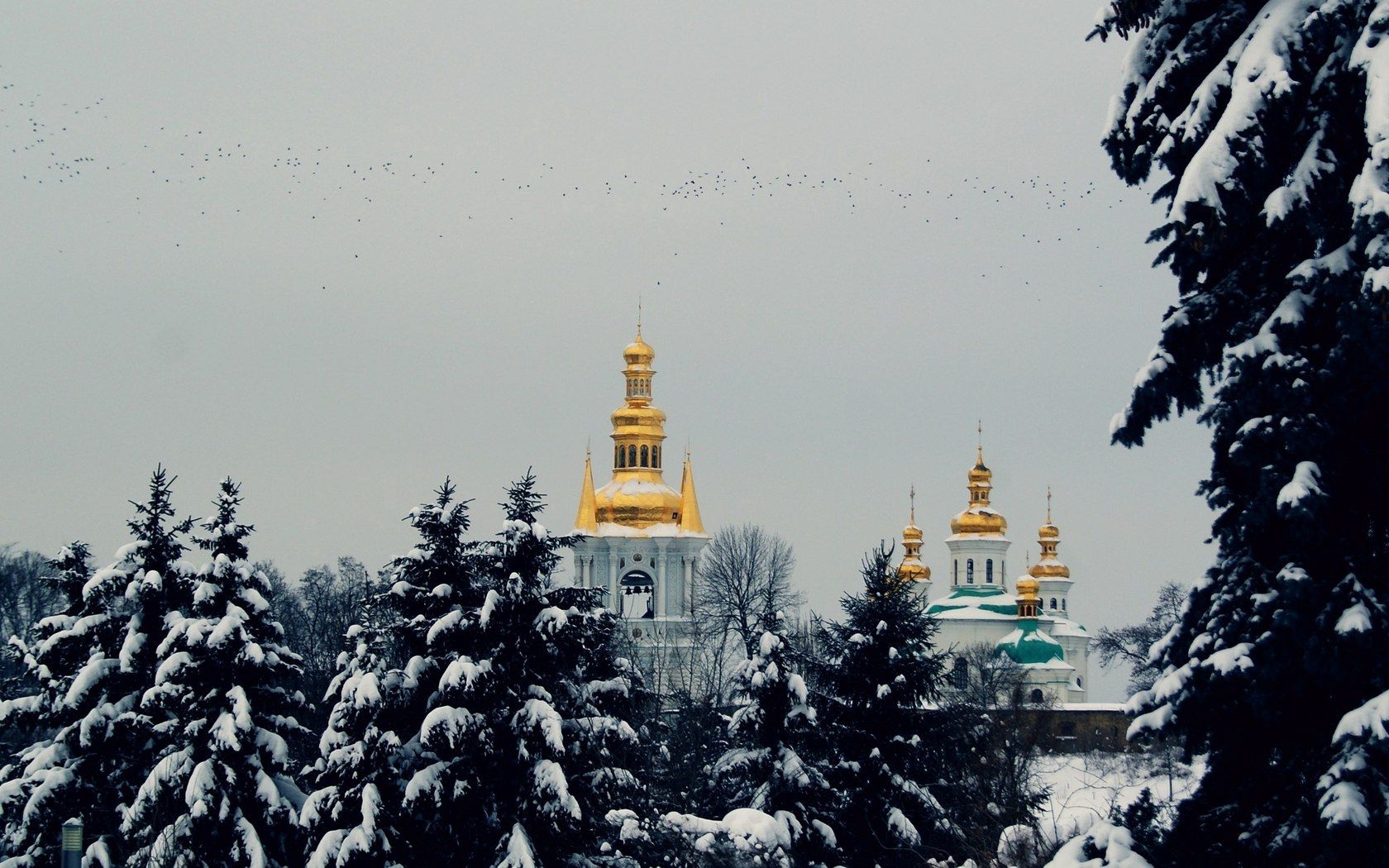 Download mobile wallpaper Trees, Pine, Snow, Cities, Flight, Winter, Sky, Church, Mood, Birds for free.