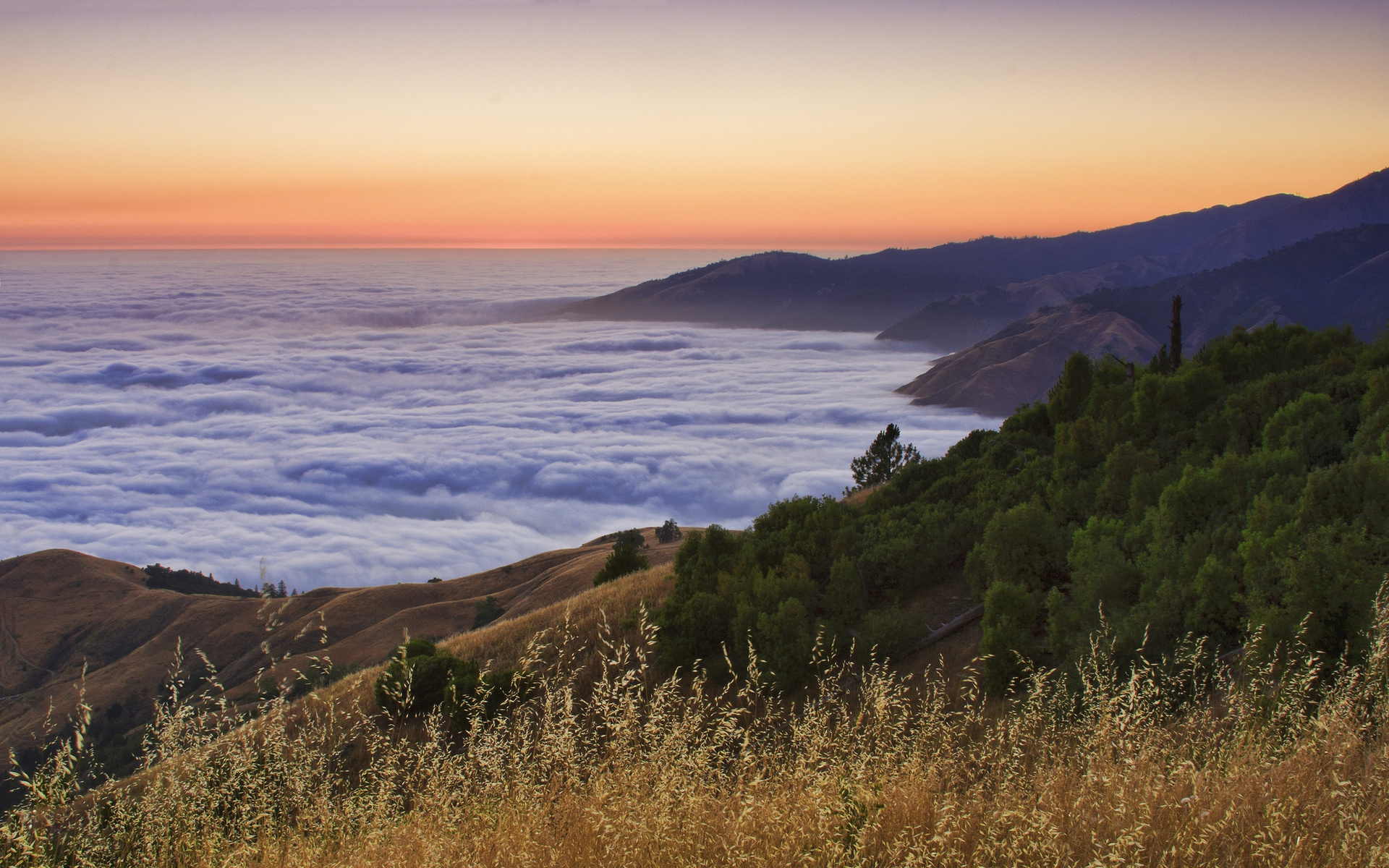 Descarga gratuita de fondo de pantalla para móvil de Niebla, Tierra/naturaleza.