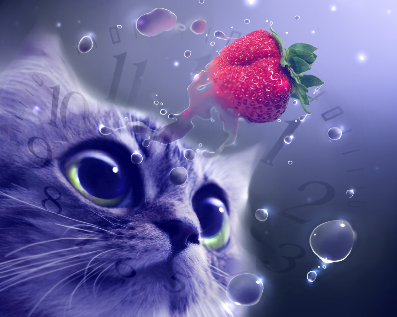 Download mobile wallpaper Cat, Kitten, Animal, Artistic, Cute for free.