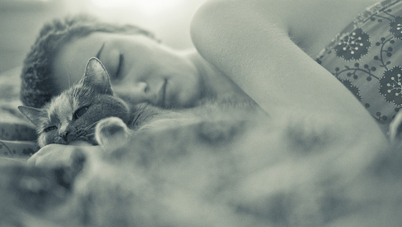 Download mobile wallpaper Cat, Sleeping, Photography, Model, Women for free.