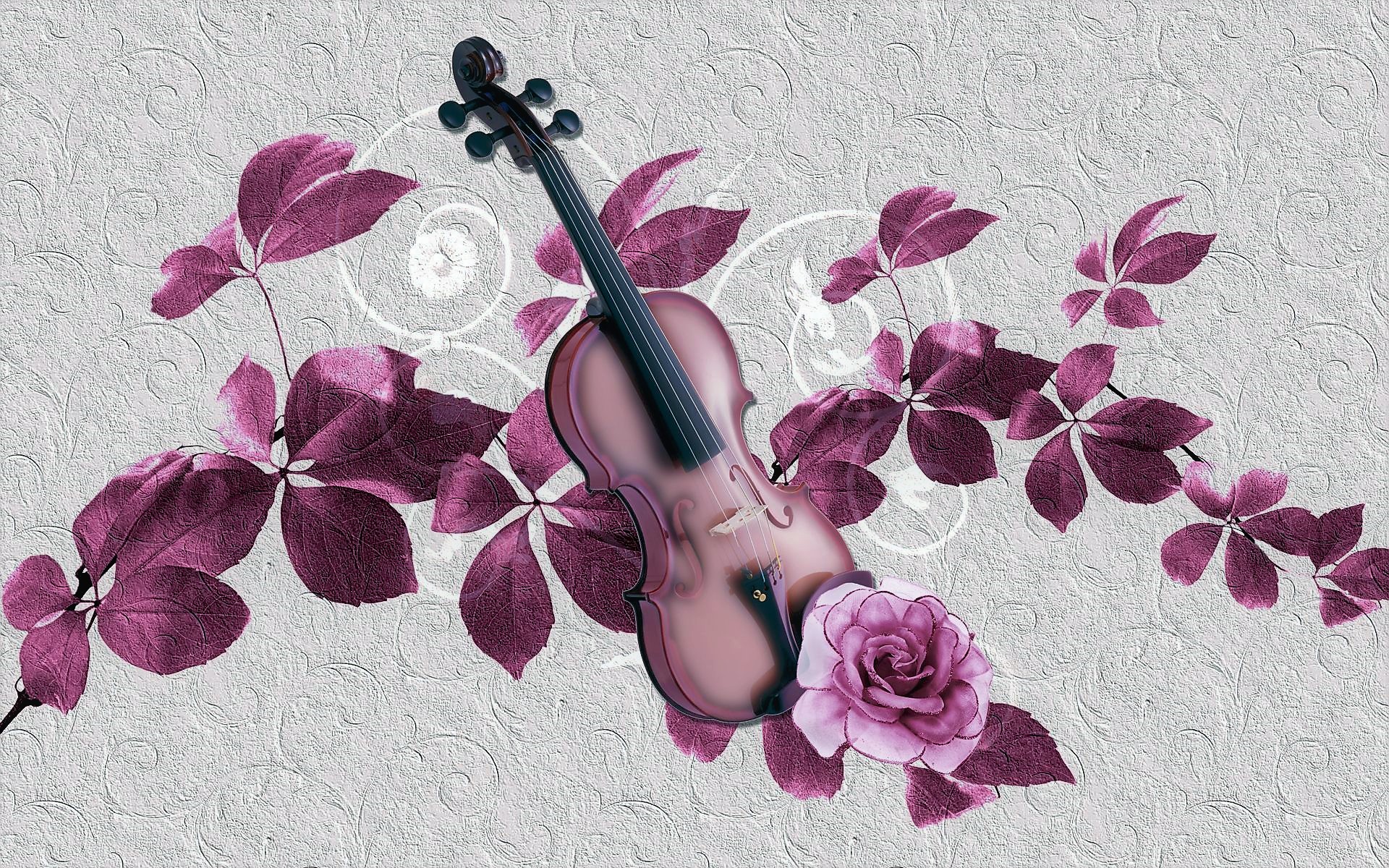 Handy-Wallpaper Musik, Rose, Blatt, Lila, Violine kostenlos herunterladen.