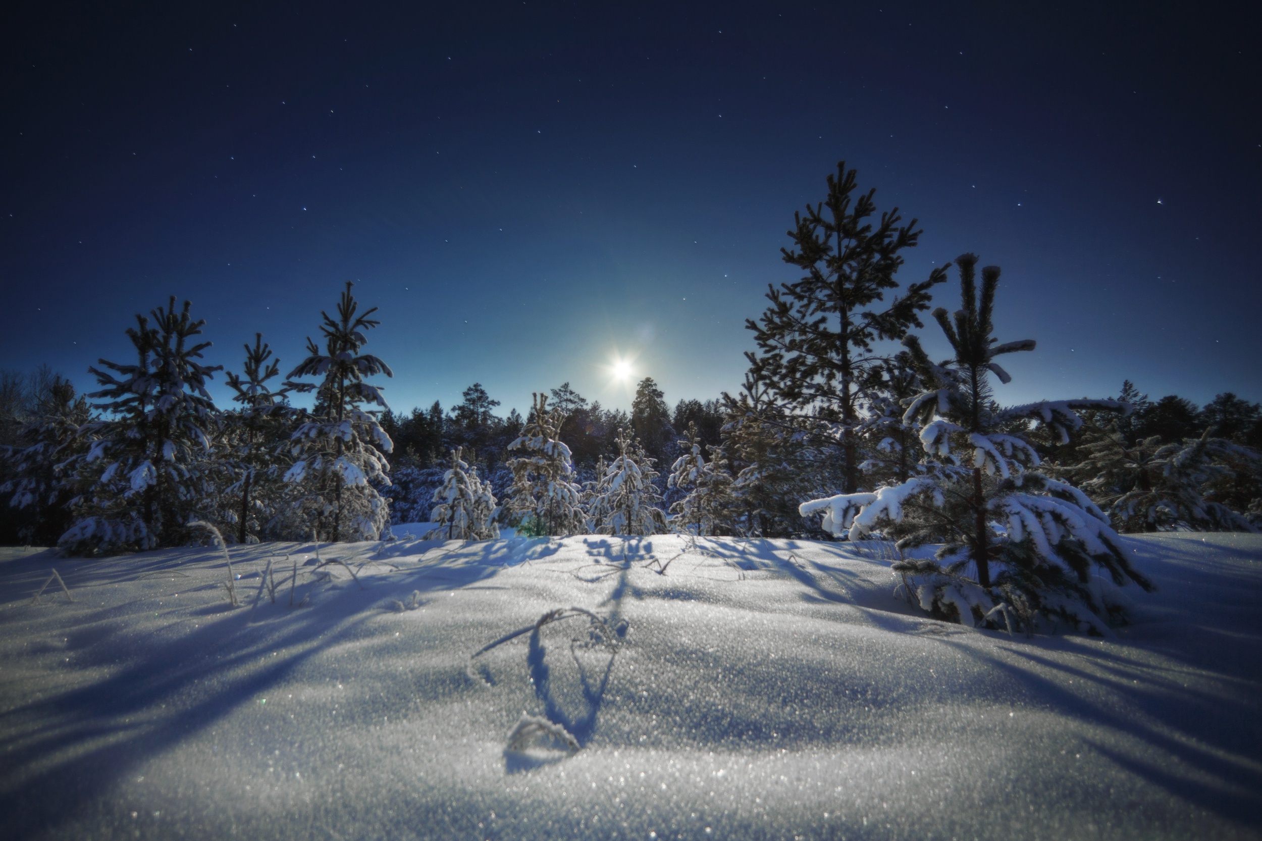 Téléchargez gratuitement l'image Hiver, Nuit, Ciel, La Nature, Terre/nature, Neiger sur le bureau de votre PC