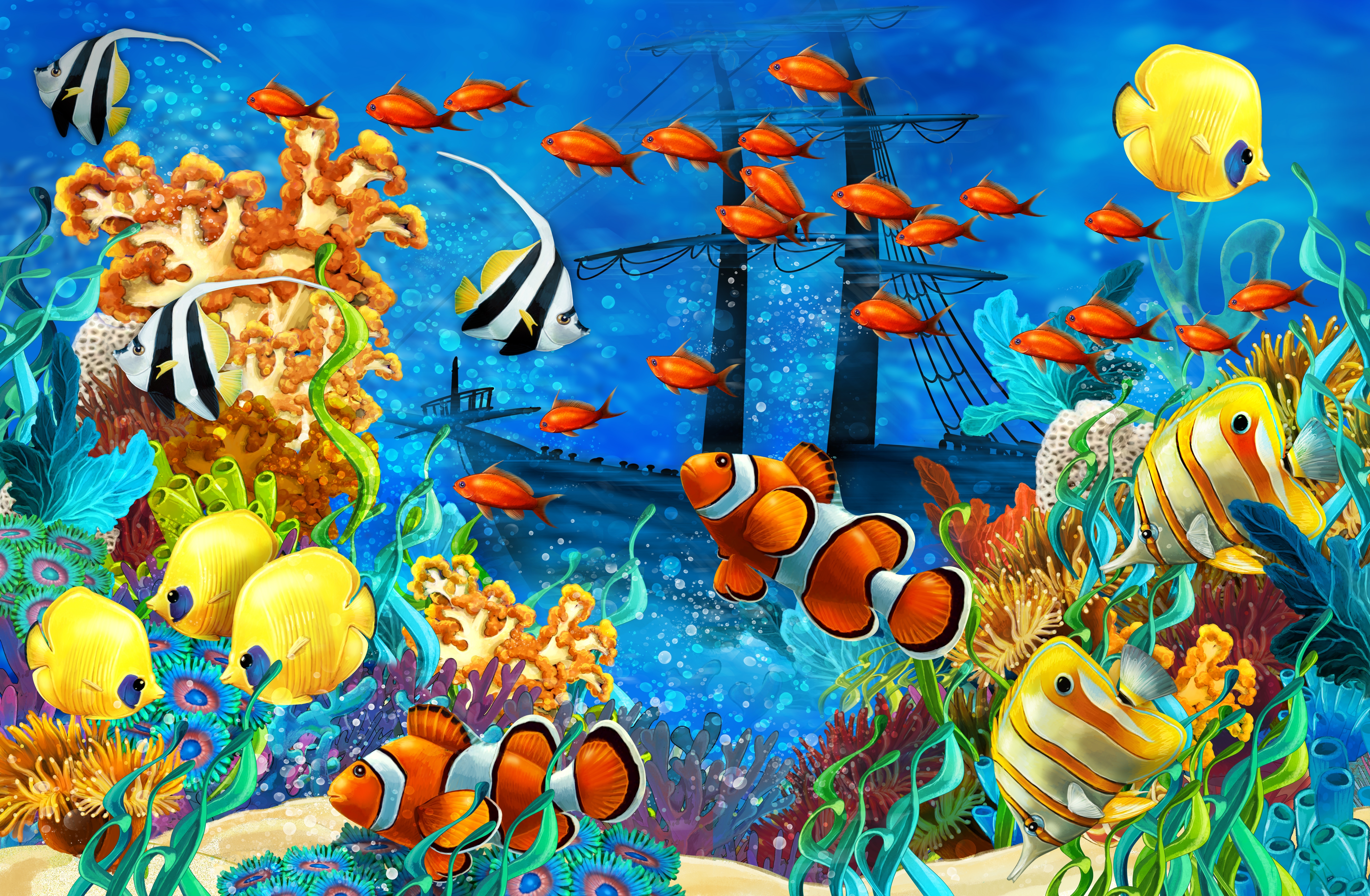 Free download wallpaper Fishes, Fish, Animal on your PC desktop