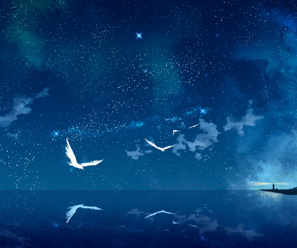 Free download wallpaper Anime, Landscape, Sky, Bird, Starry Sky on your PC desktop